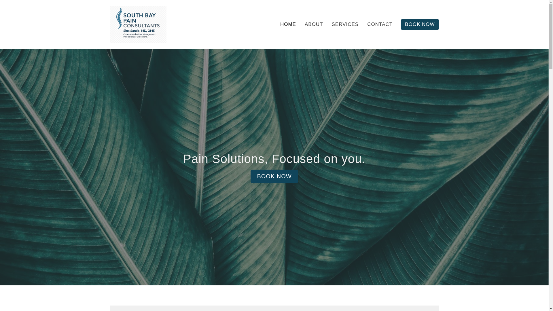 website screenshot of https://southbaypain.net/