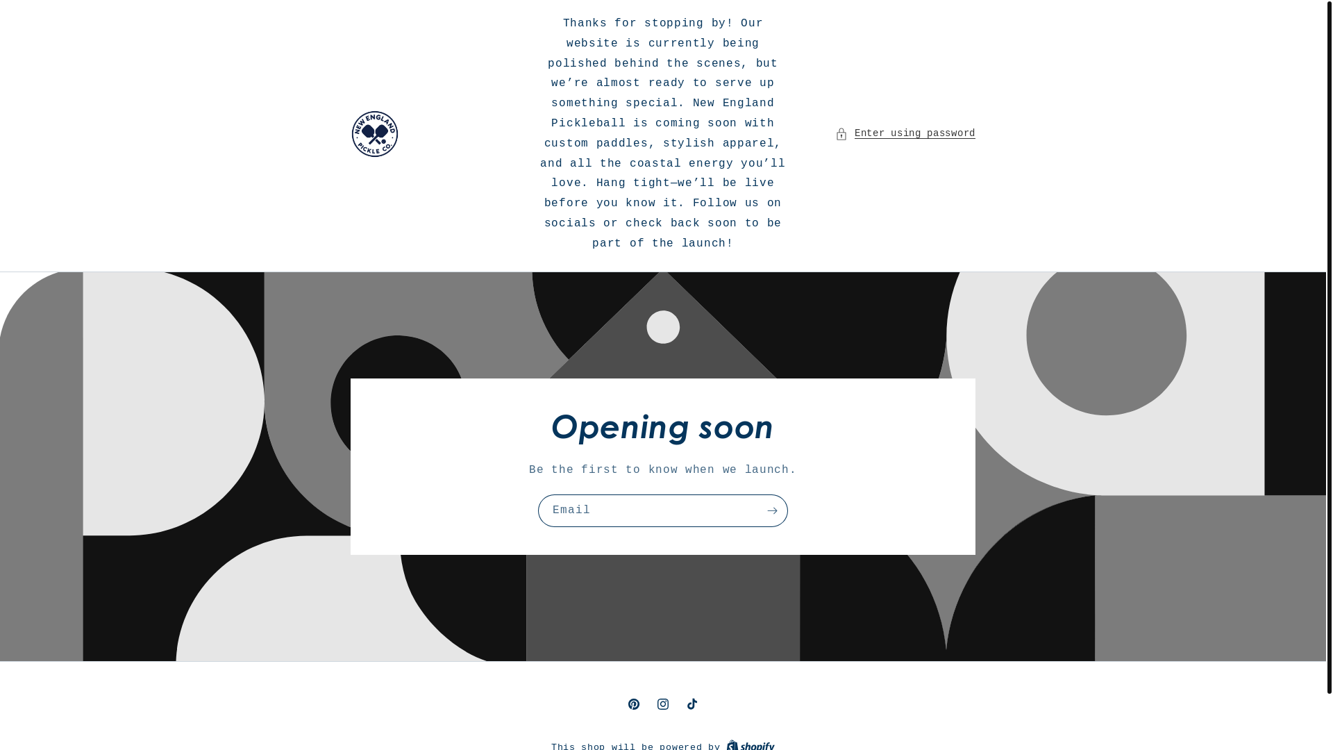 website screenshot of https://newenglandpickleco.com/