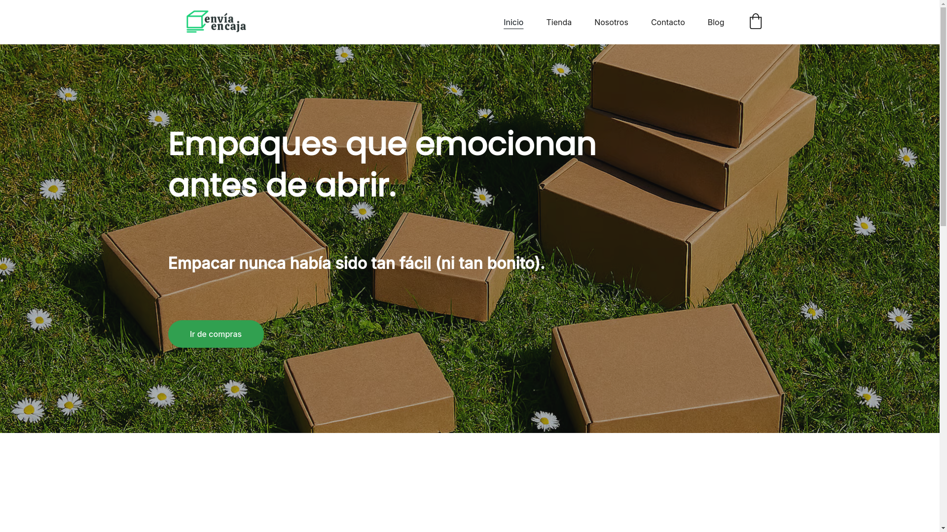 website screenshot of https://enviaencaja.store/