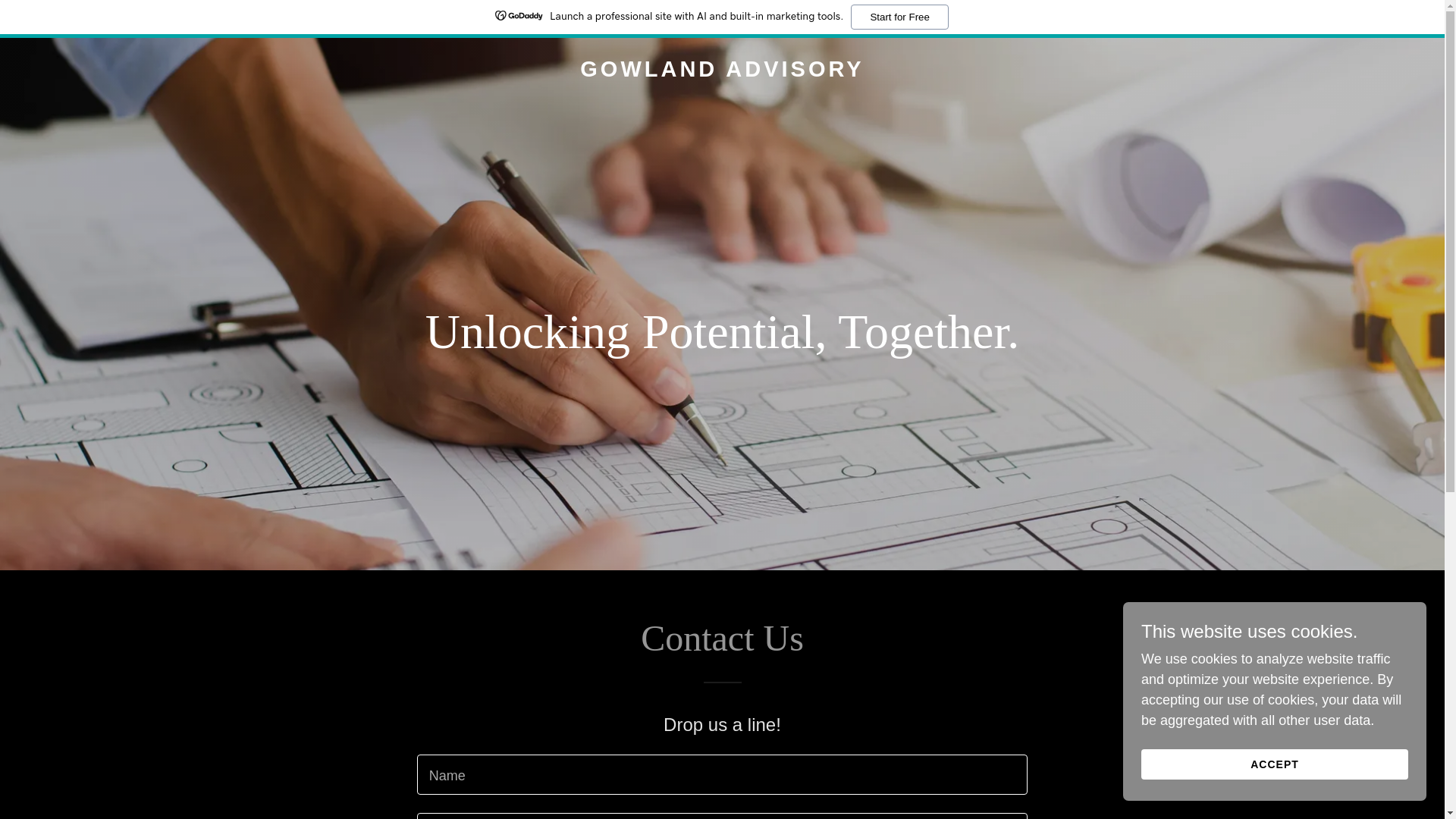 website screenshot of https://gowlandadvisory.com.au/