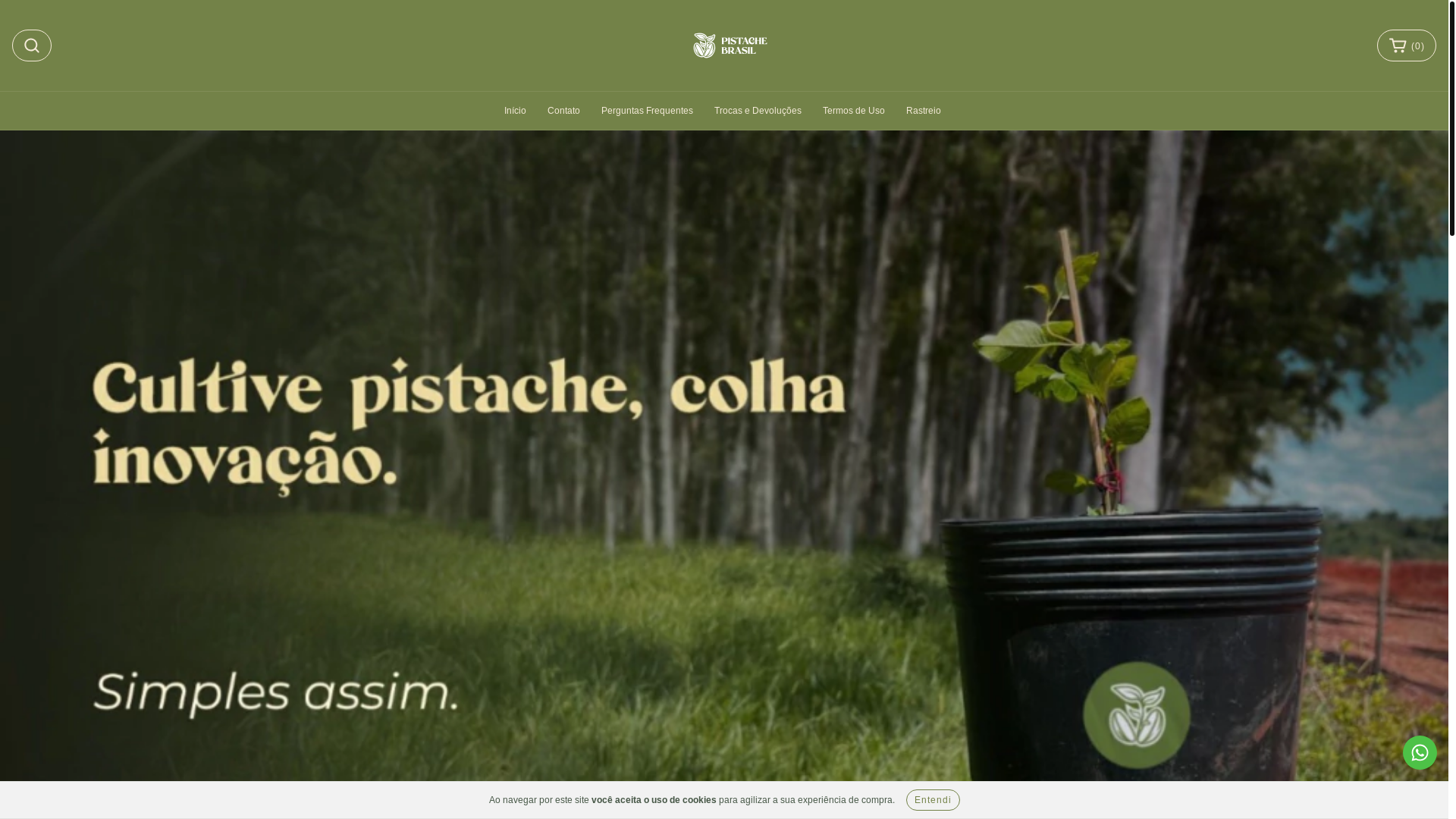 website screenshot of https://pistachebrasil.com.br/