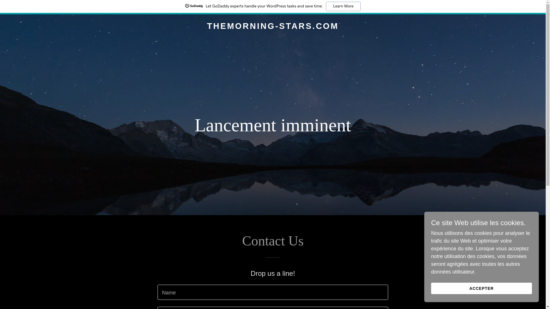 website screenshot of https://themorning-stars.com/