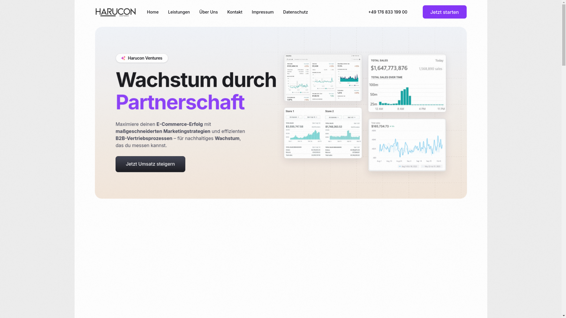 website screenshot of https://go-harucon.de/