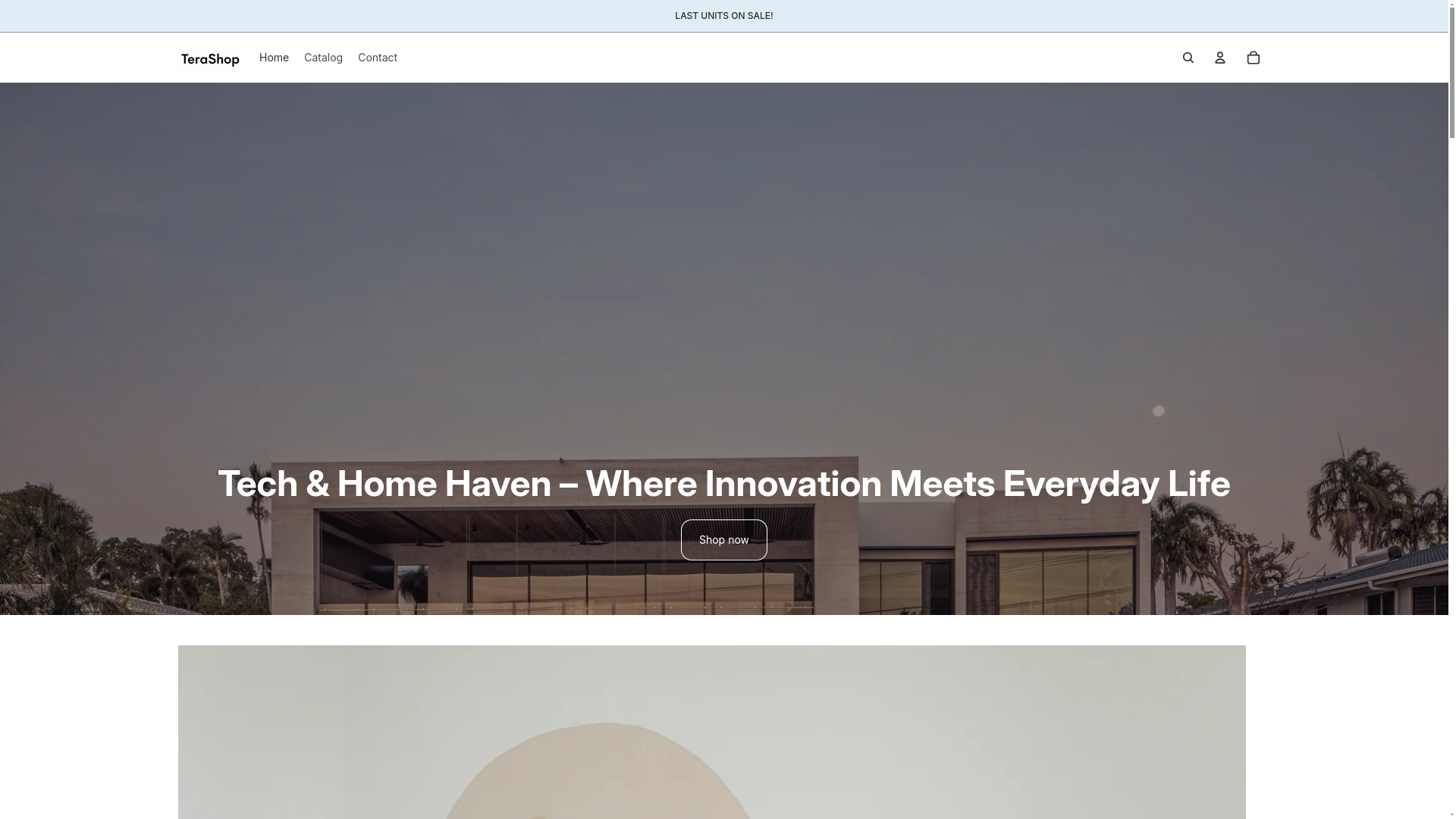website screenshot of https://tershops.com/