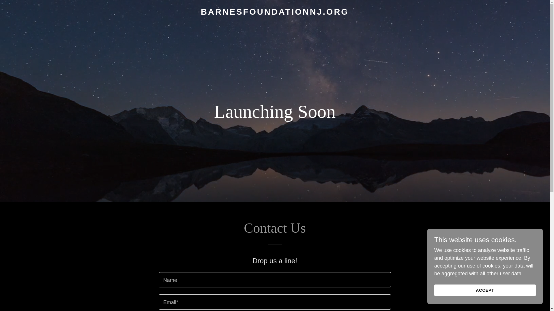 website screenshot of https://barnesfoundationnj.org/