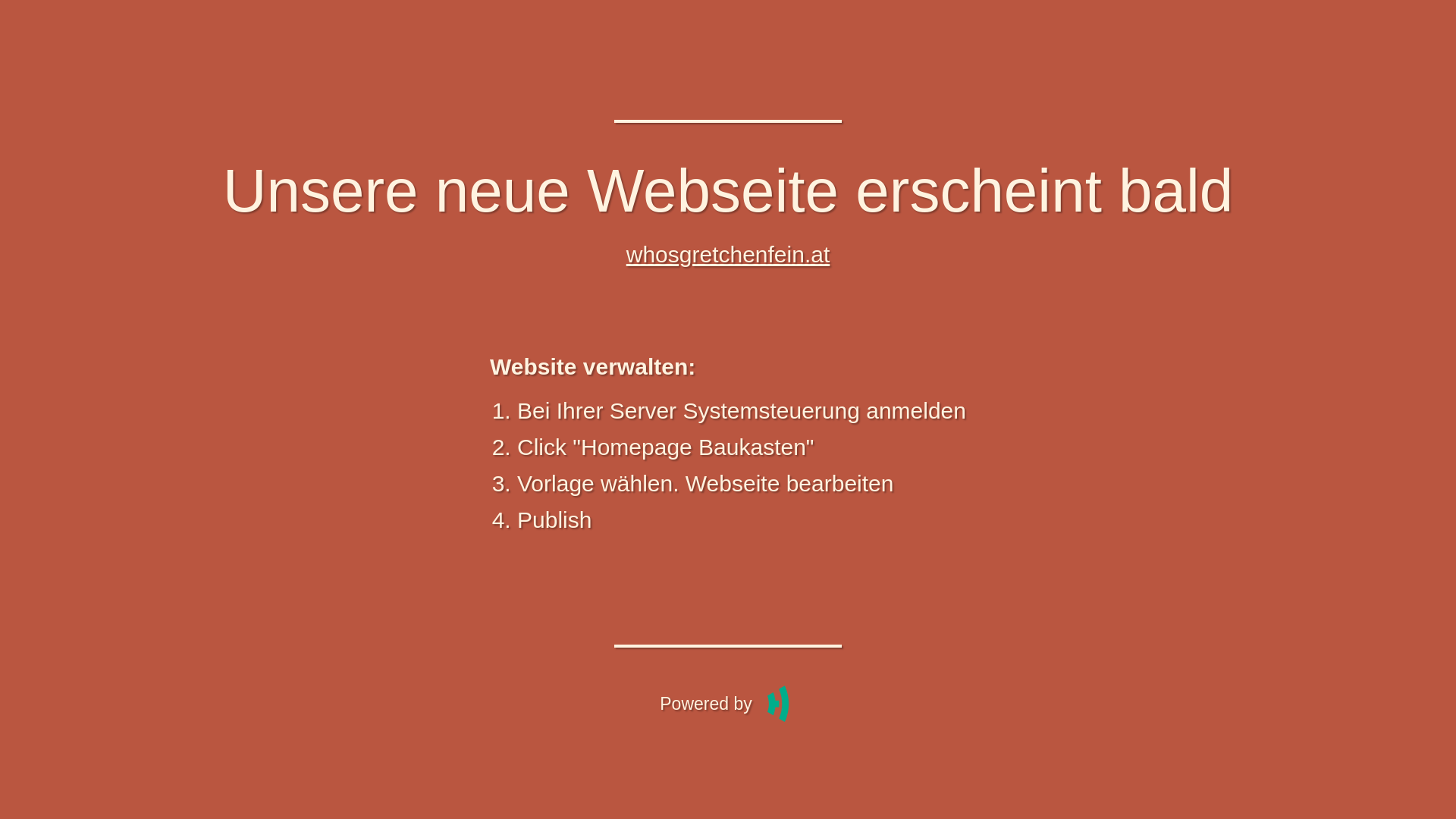 website screenshot of https://whosgretchenfein.at/