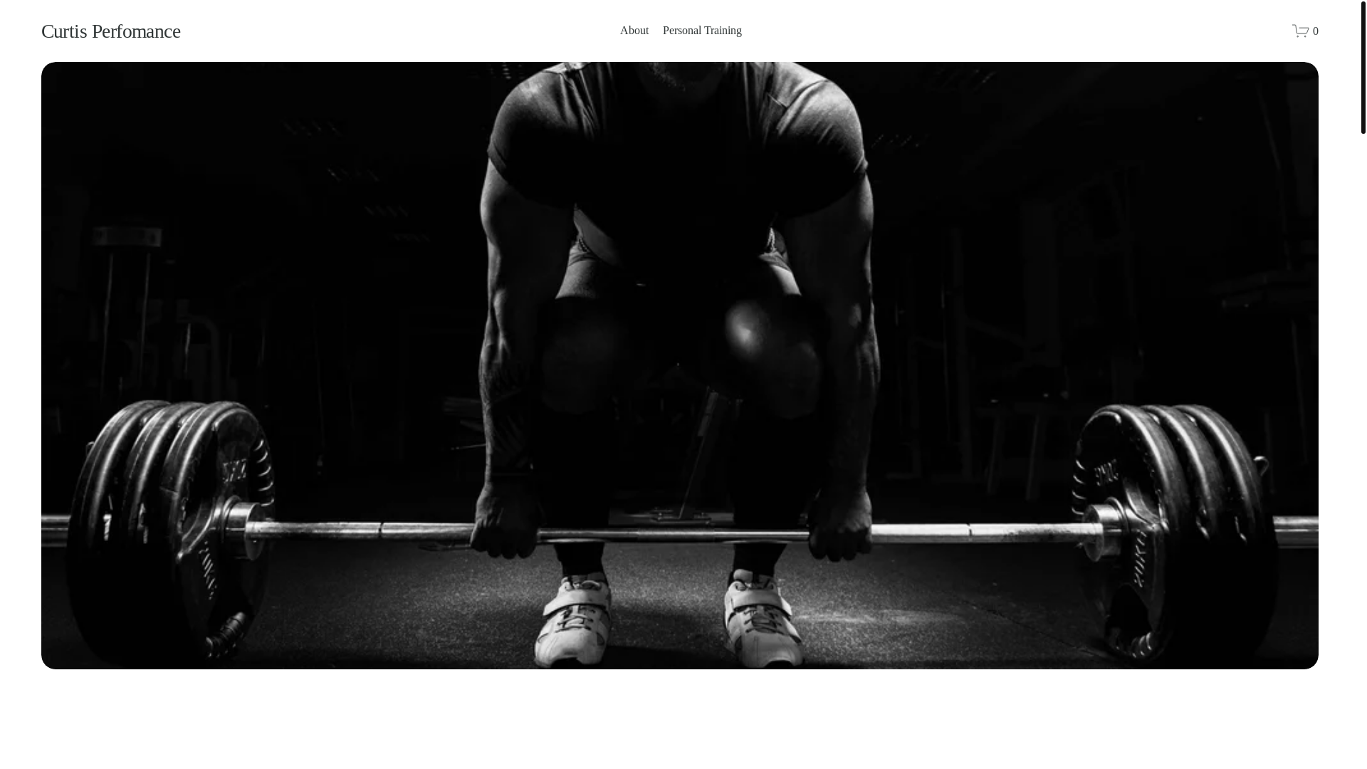 website screenshot of https://curtisperfomance.com/
