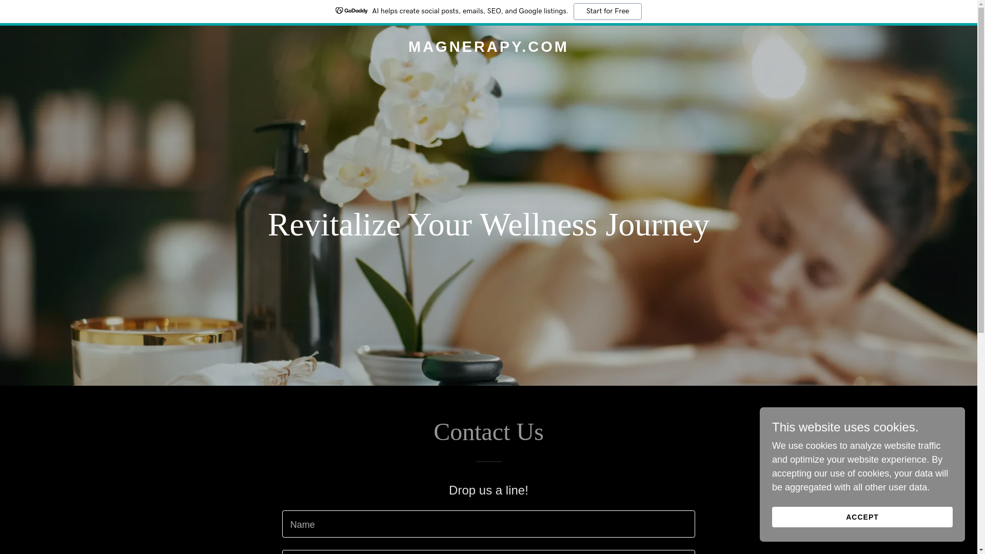website screenshot of https://magnerapy.com/