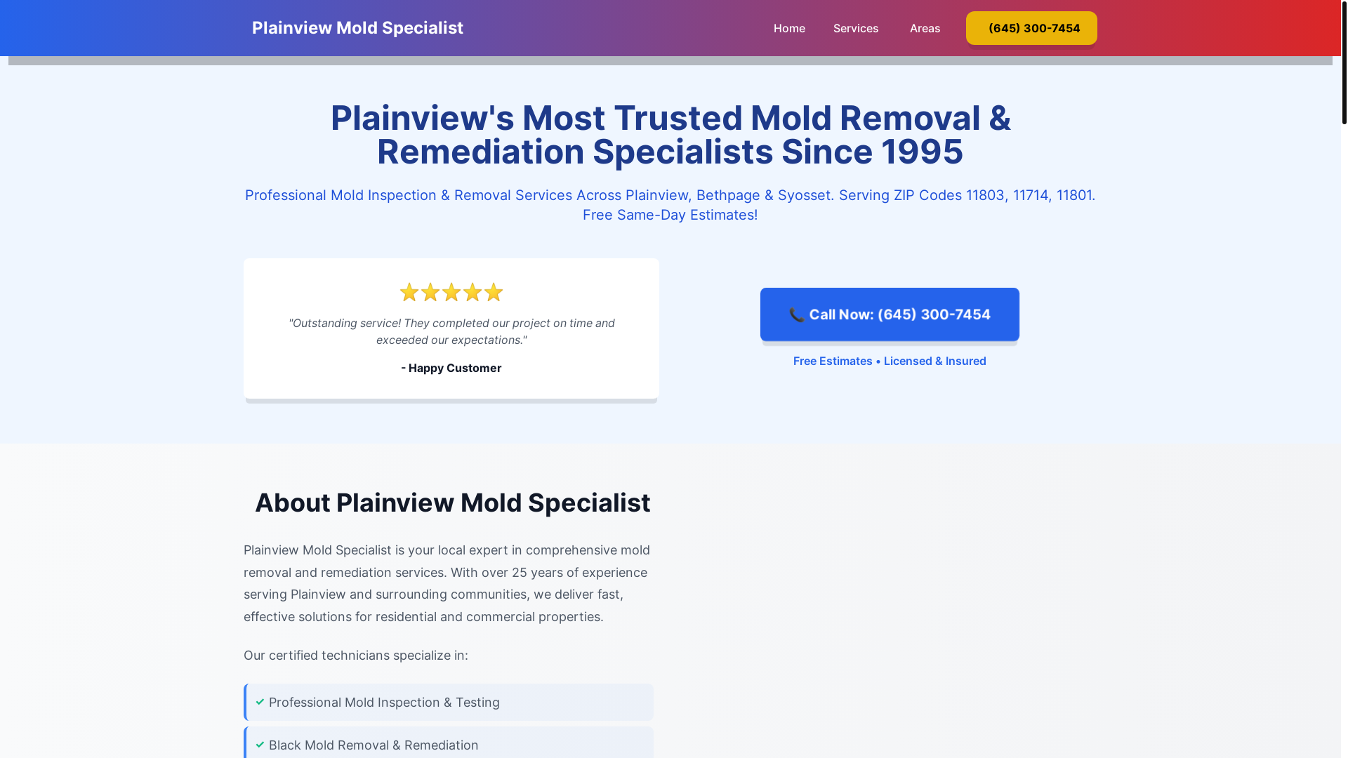 website screenshot of https://mold-inspection-plainview-ny.pages.dev/
