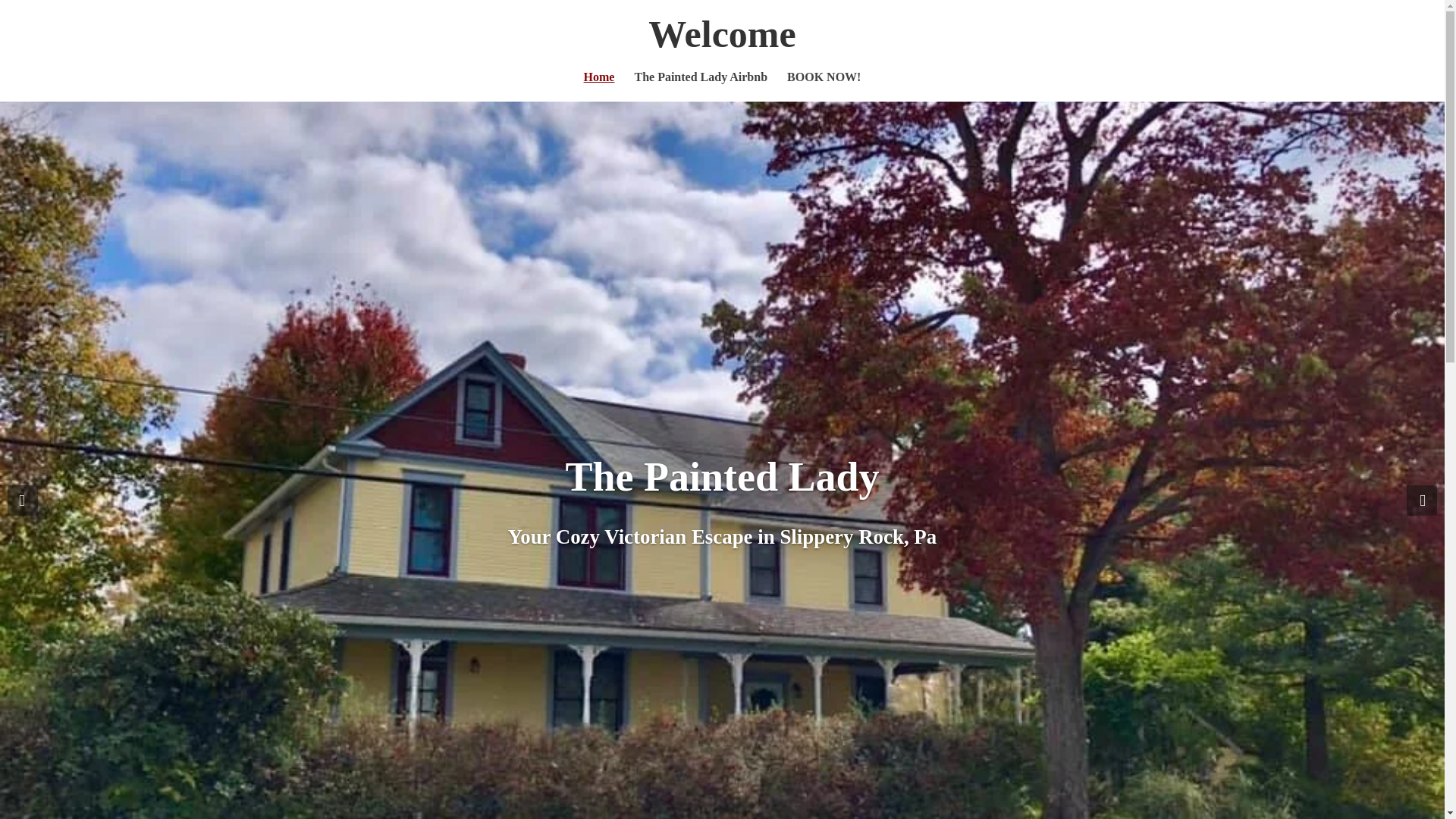website screenshot of https://stayatthepaintedlady.com/