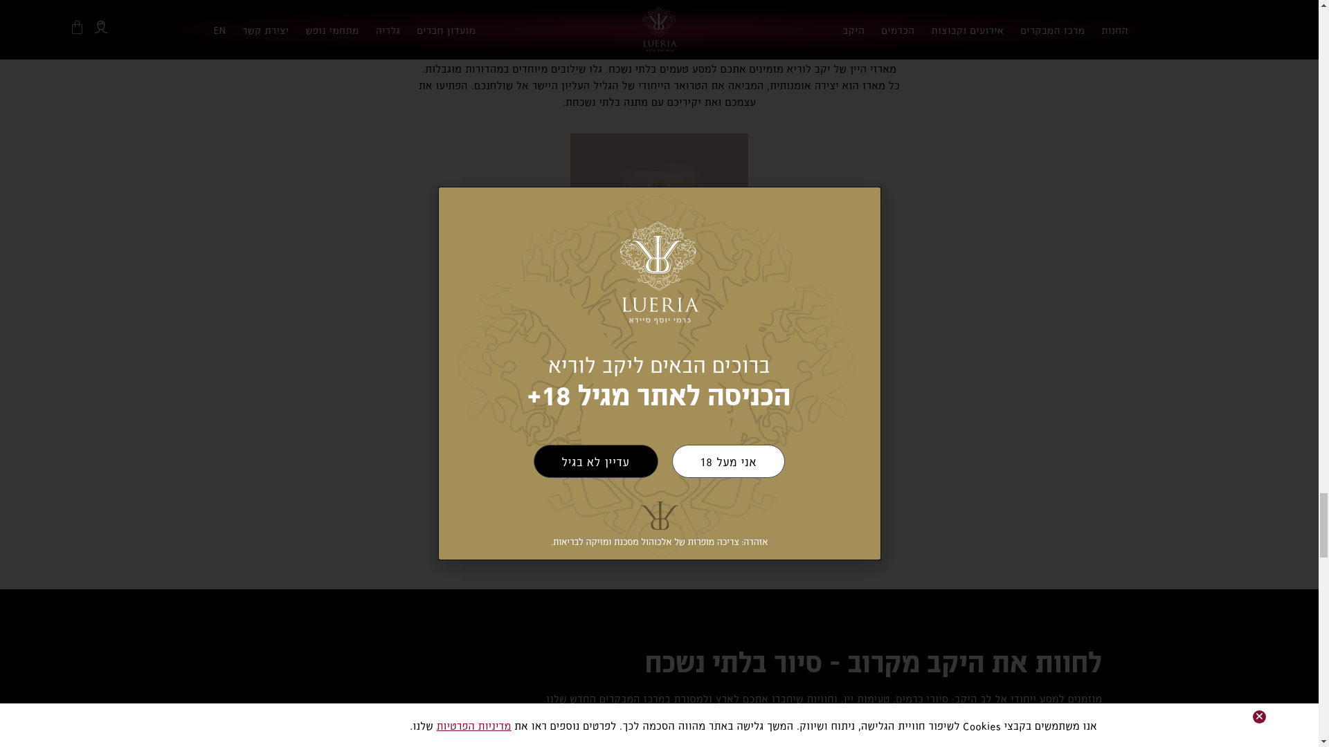 website screenshot of https://lueriawinery.com