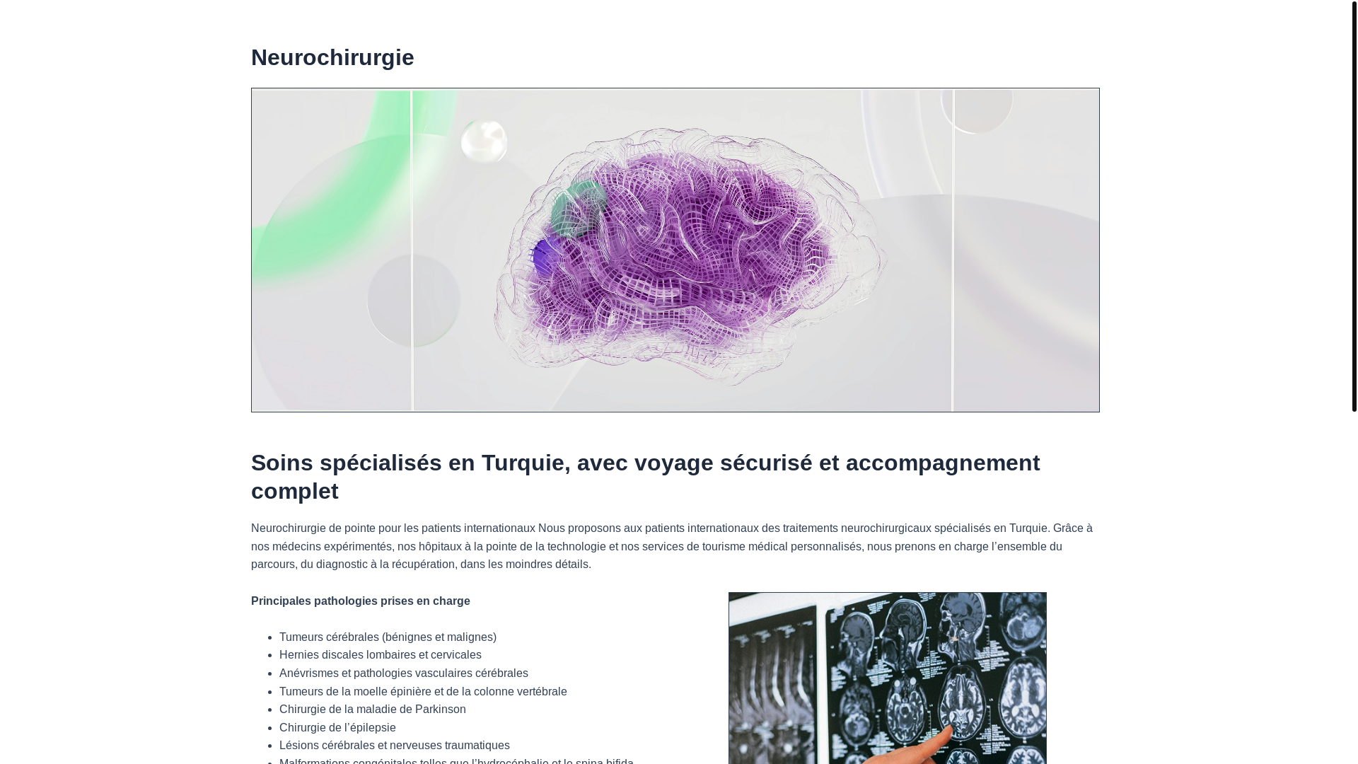 website screenshot of https://medipolpbrainsurgery-fr.pages.dev/