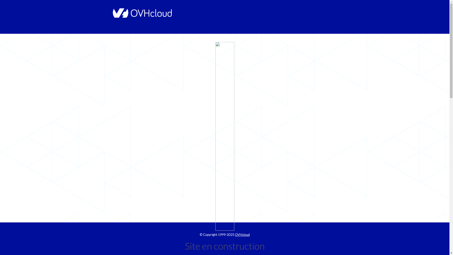 website screenshot of https://veralis.tn/