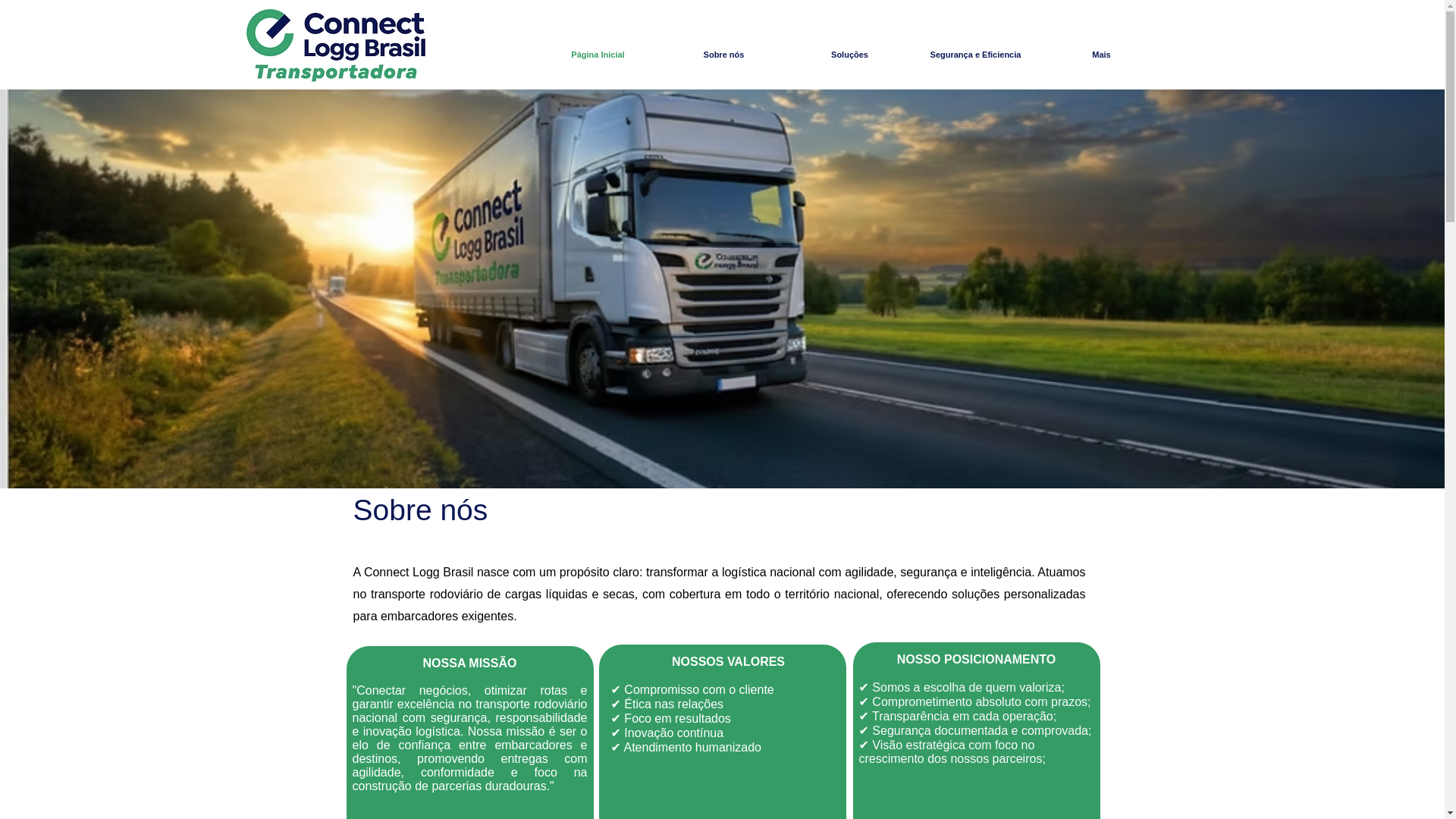 website screenshot of https://connectloggbrasil.com.br/