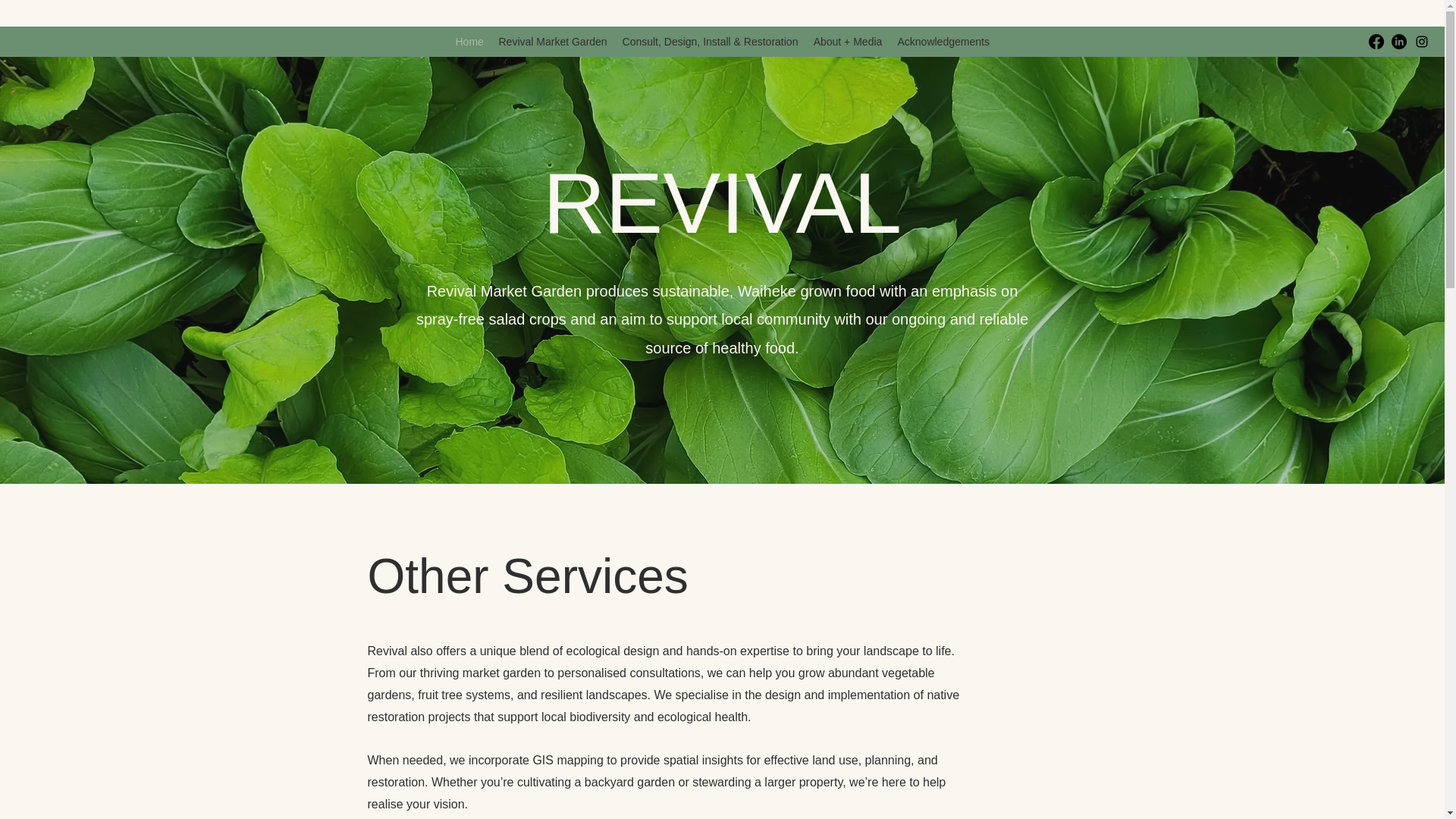 website screenshot of https://revivalnz.com/