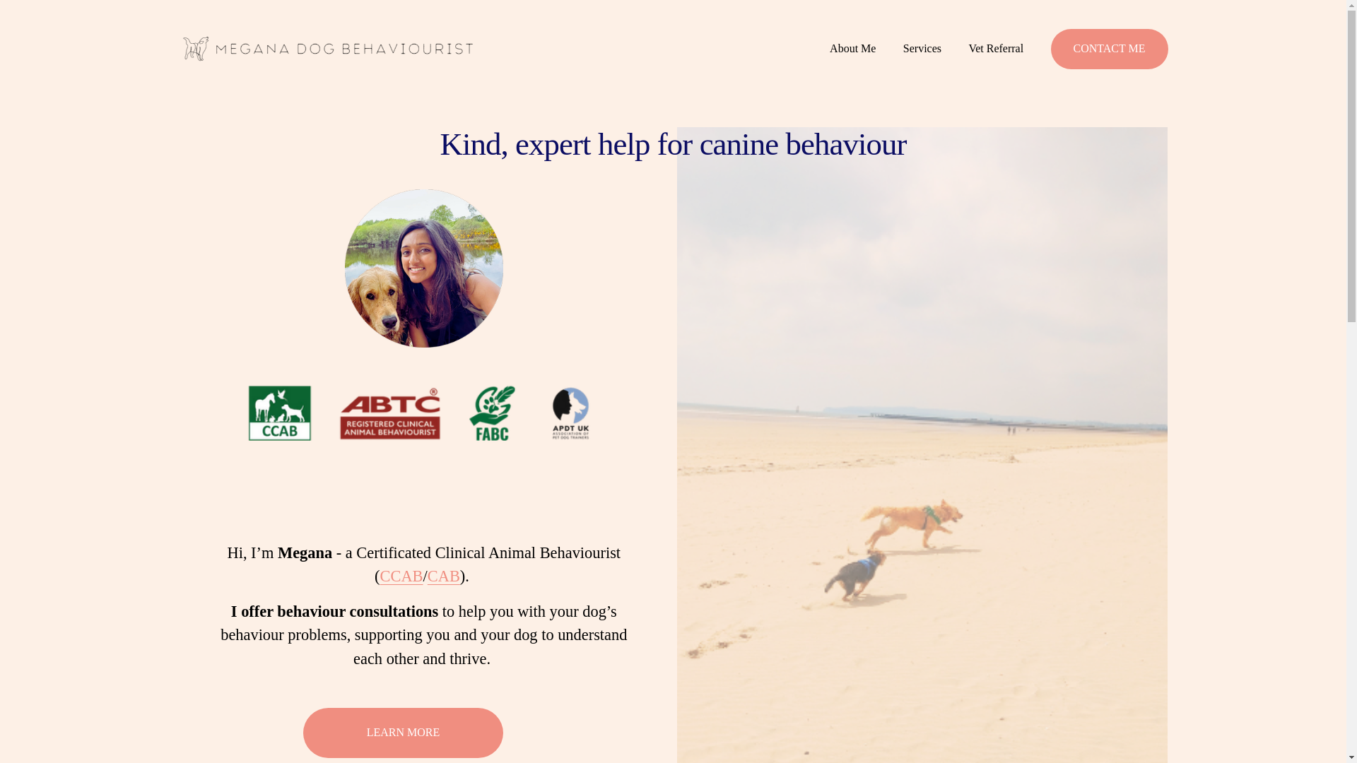website screenshot of https://meganadogbehaviour.com/