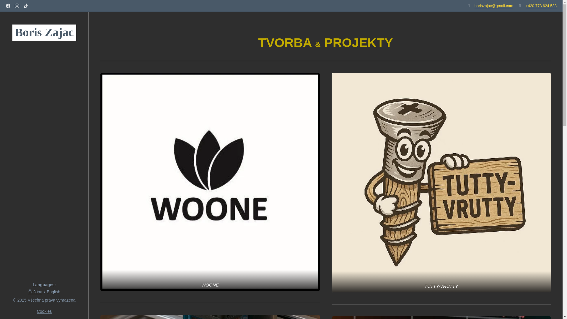 website screenshot of https://boriszajac.cz/