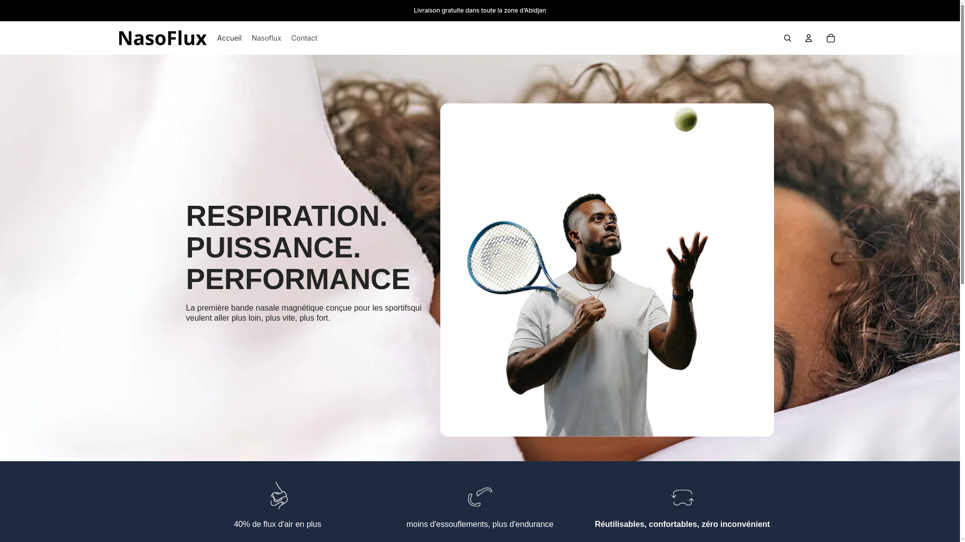 website screenshot of https://nasoflux.site/