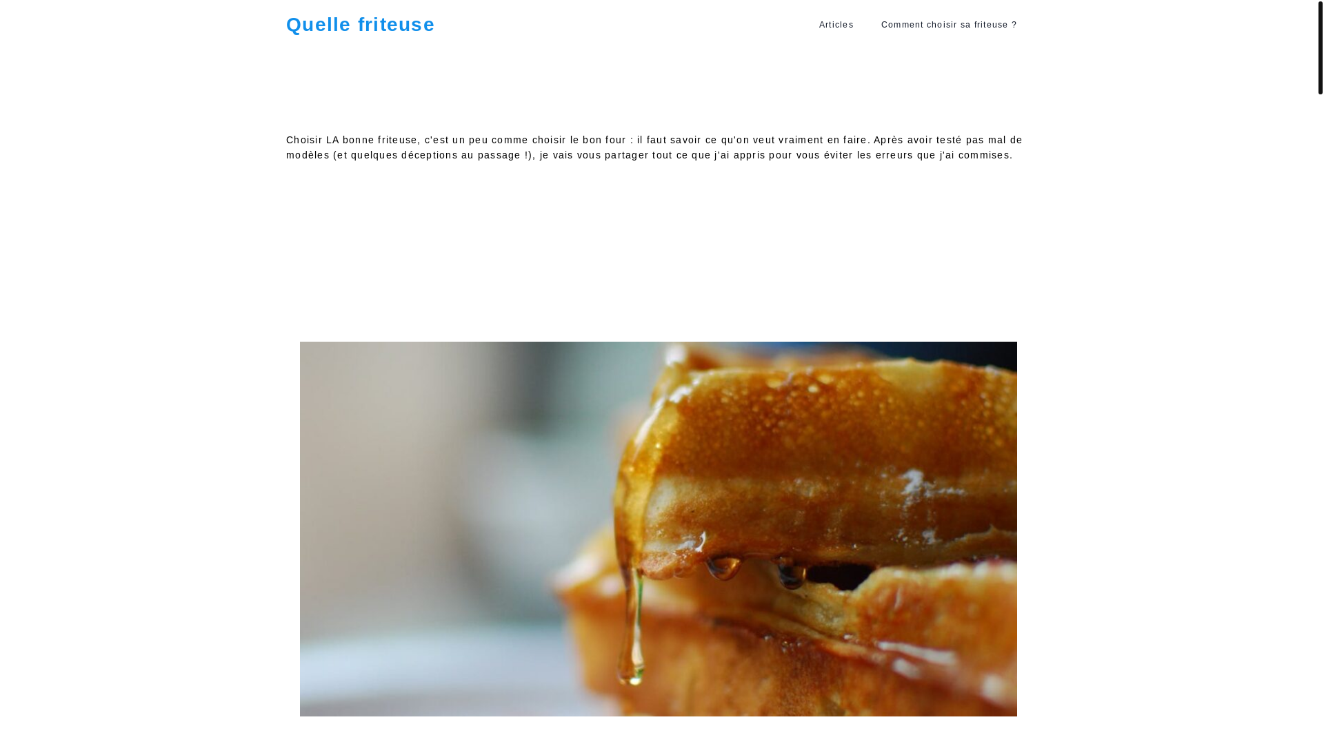 website screenshot of https://quel-friteuse.fr/