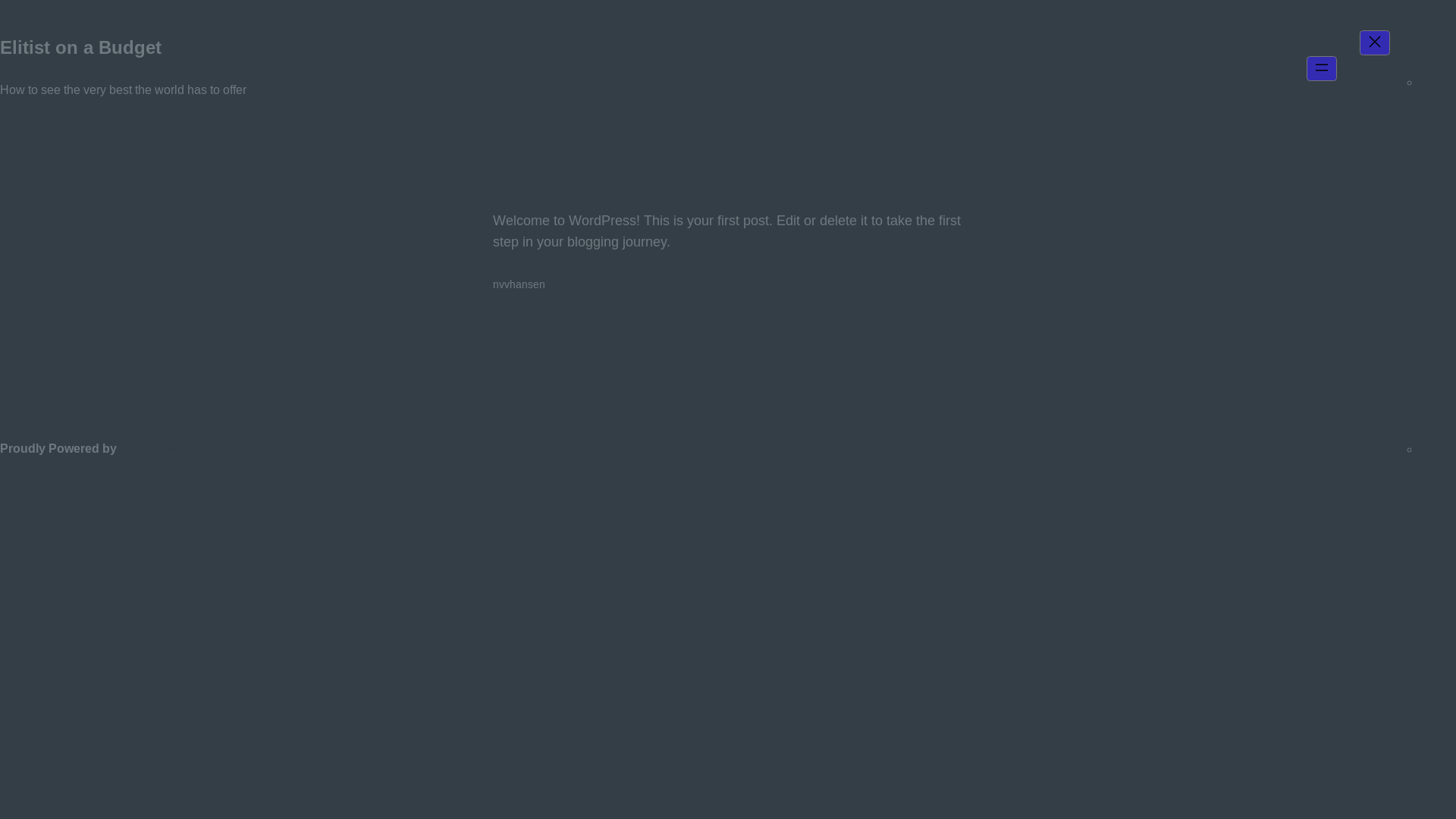 website screenshot of https://elitistonabudget.blog/