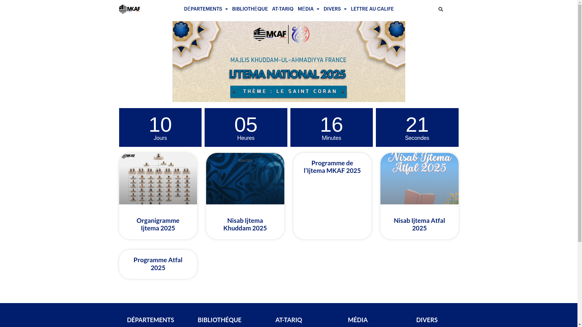website screenshot of https://ijtema.fr/