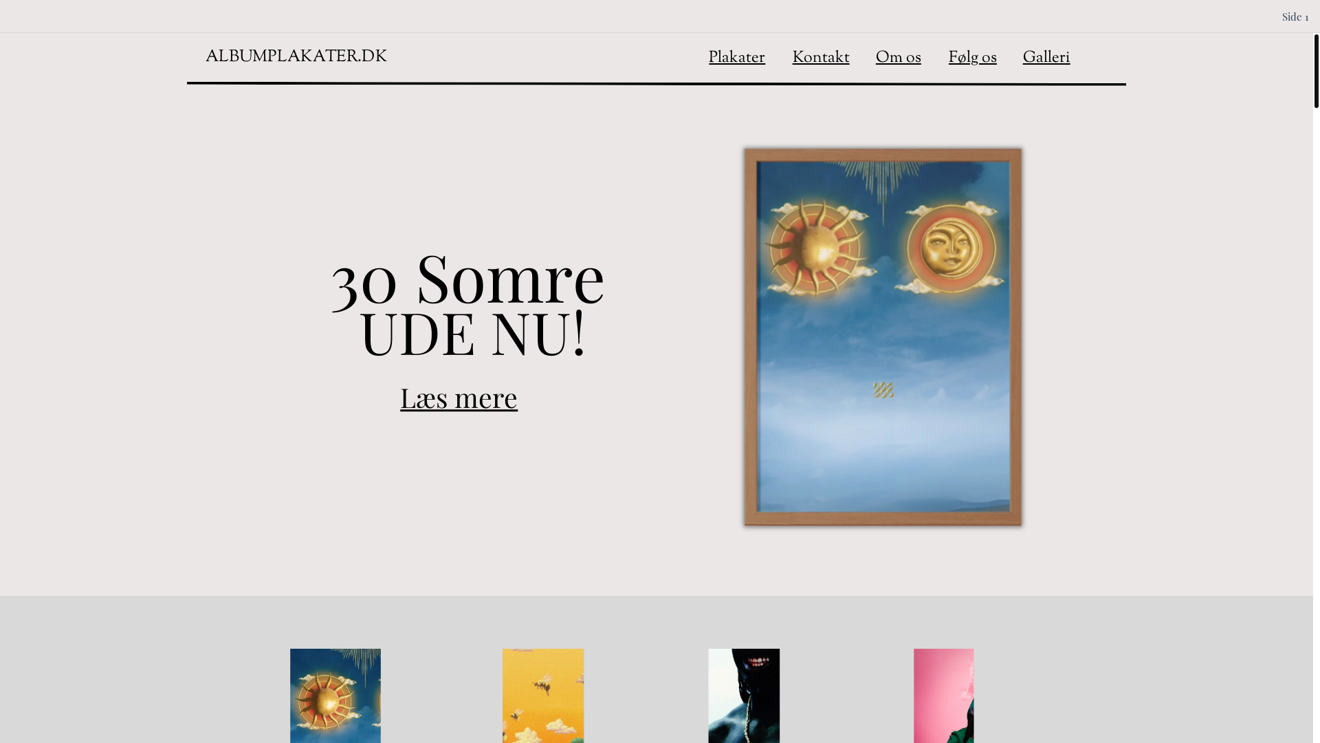website screenshot of https://albumplakater.dk/