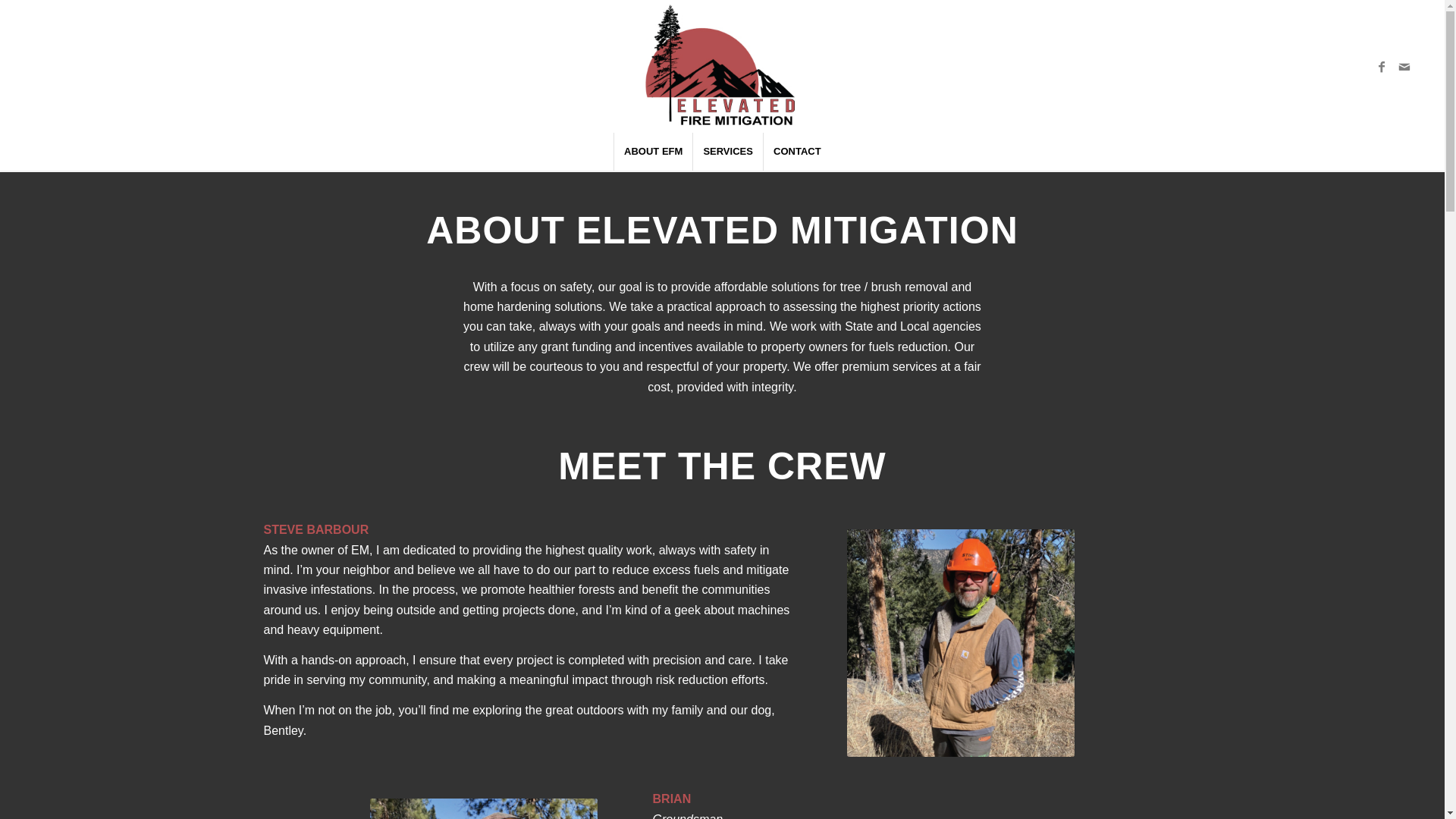 website screenshot of https://emctree.com/