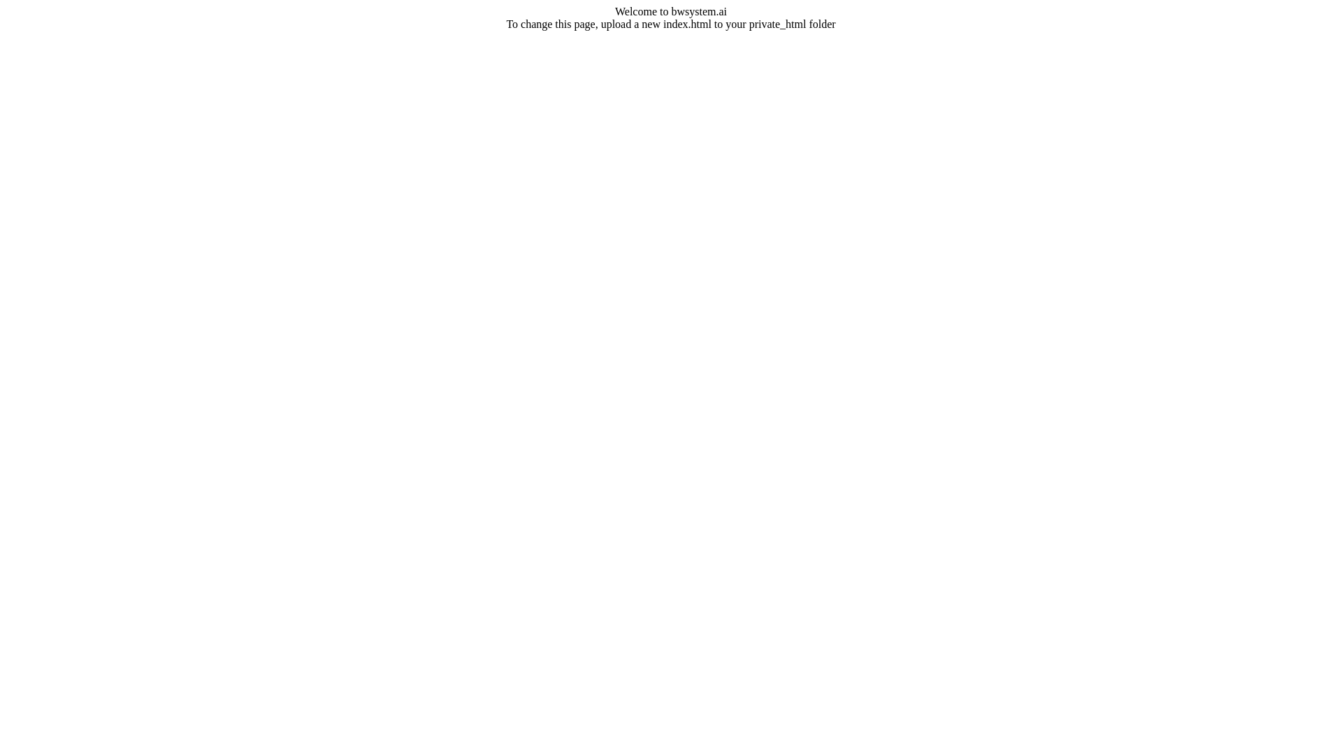 website screenshot of https://bwsystem.ai/