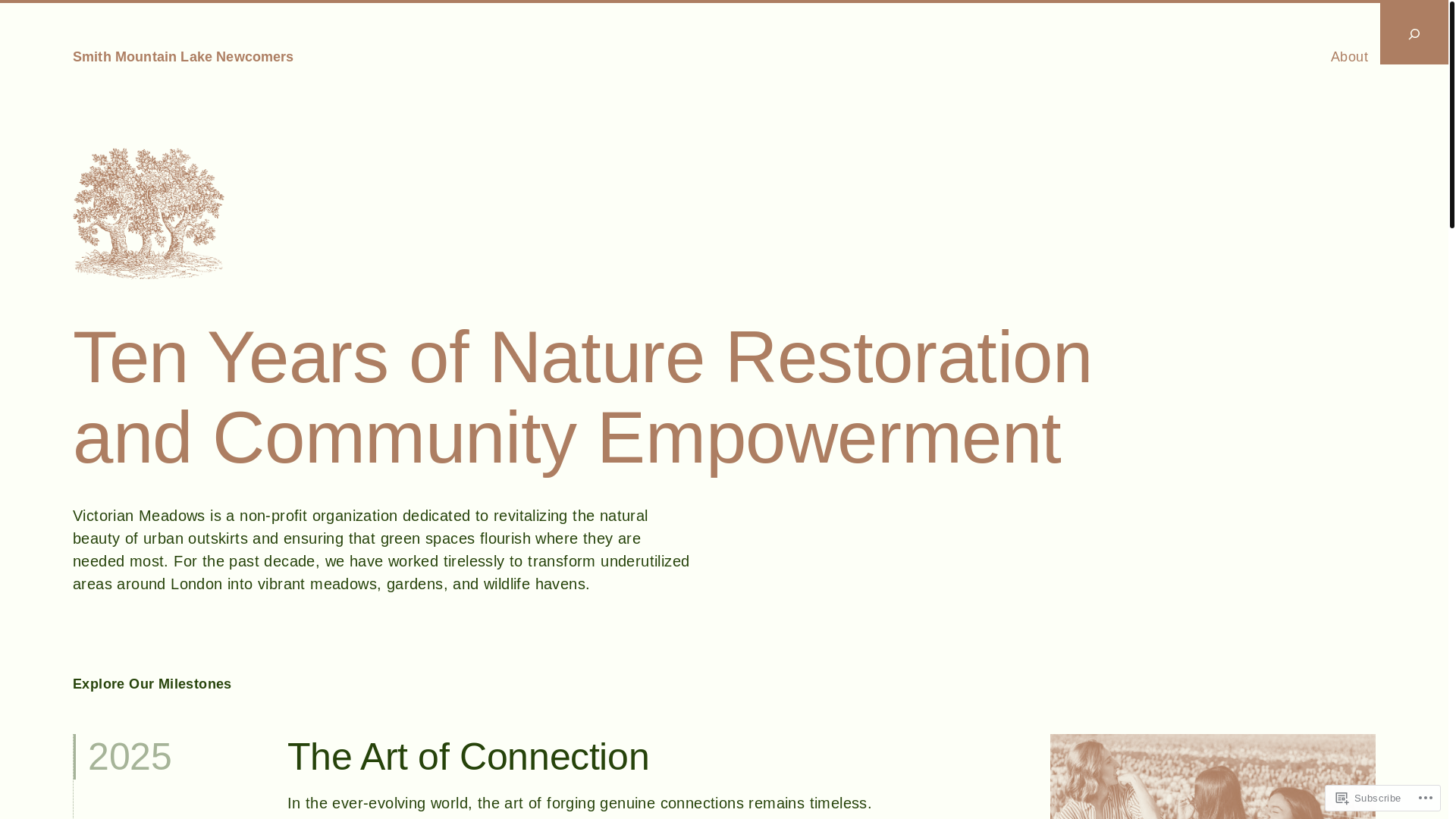 website screenshot of https://smlnewcomers.com/