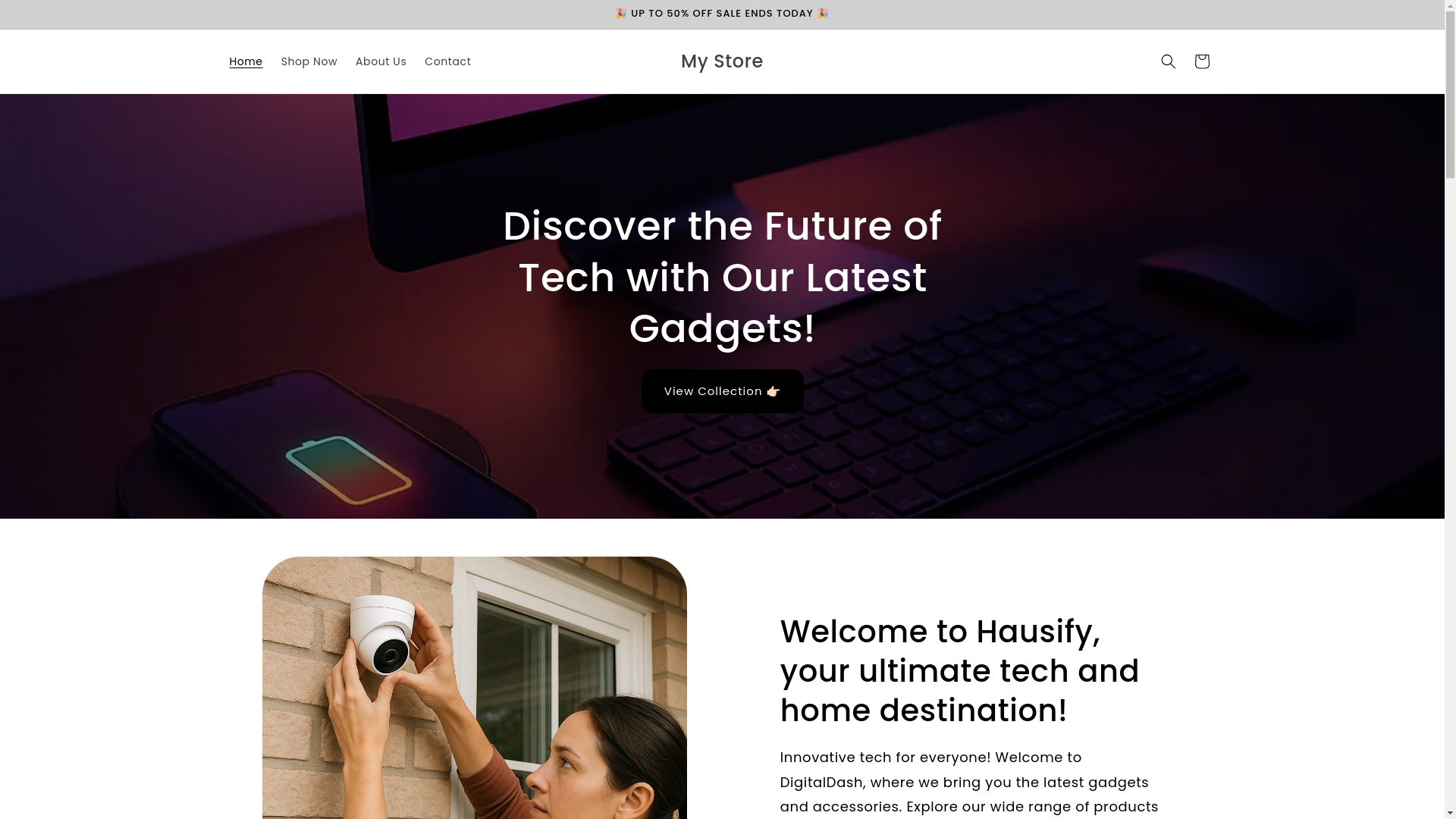 website screenshot of https://hausify.us/