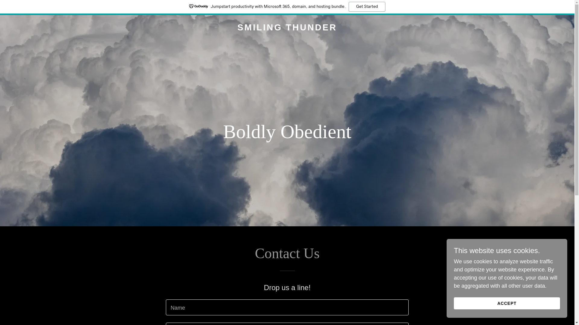 website screenshot of https://smilingthunder.com/