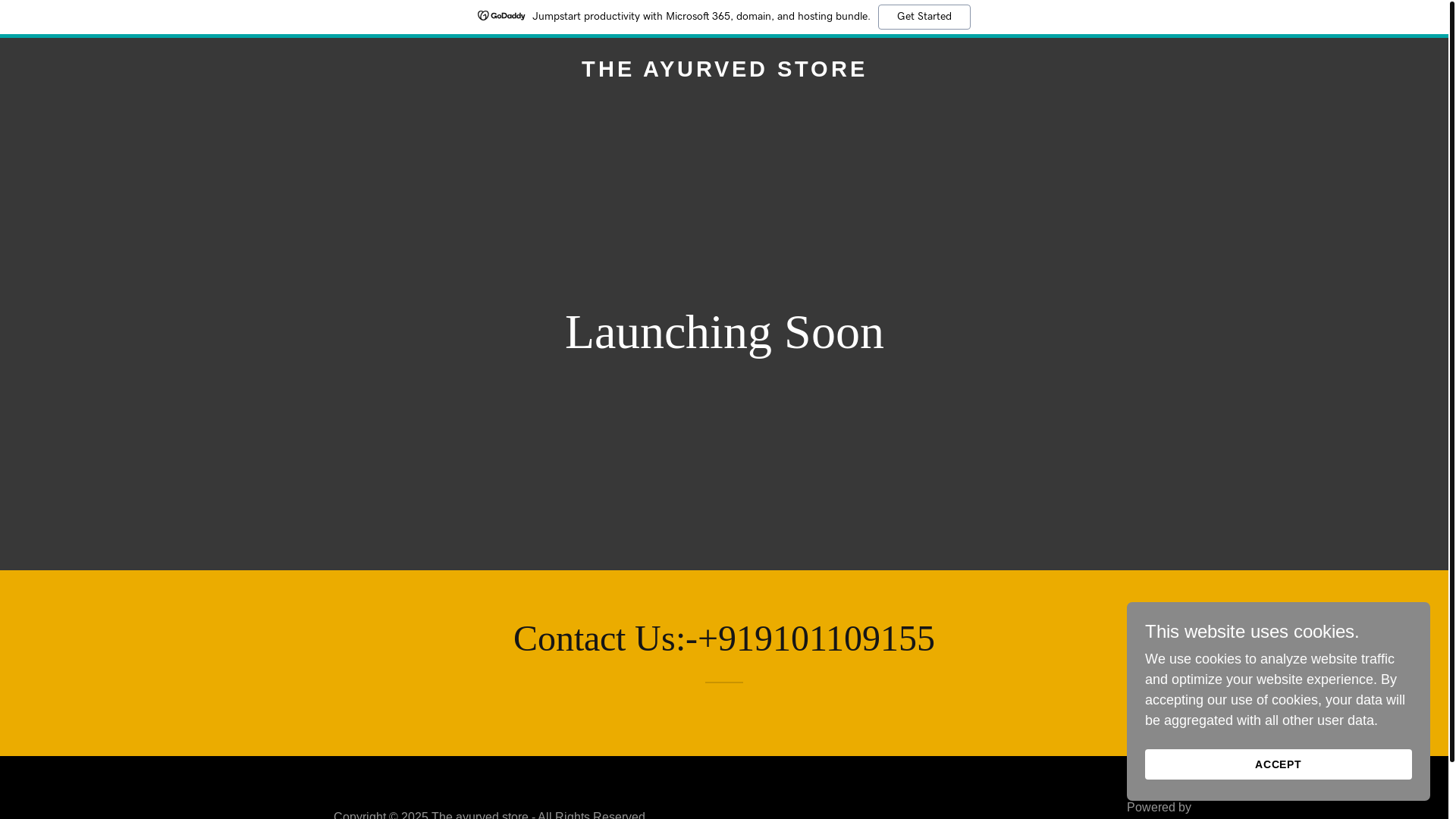 website screenshot of https://theayurvedstore.com/