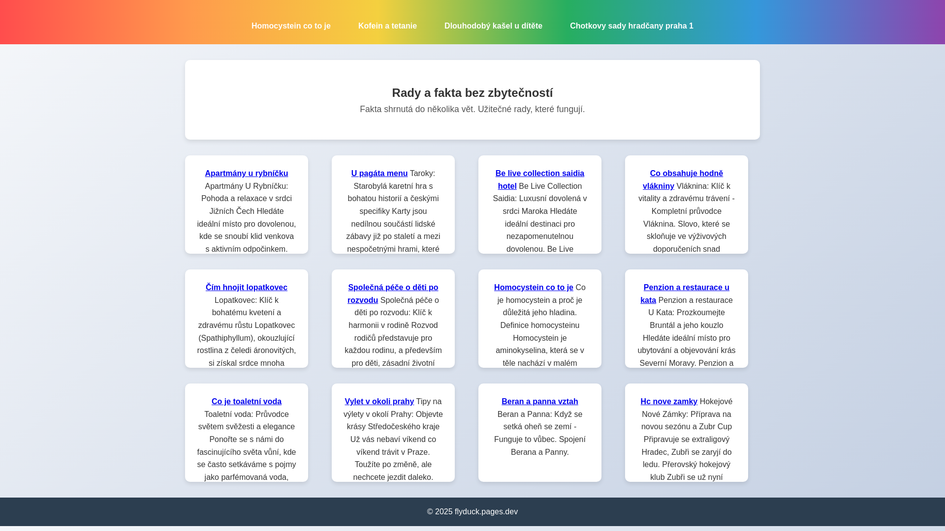 website screenshot of https://flyduck.pages.dev/
