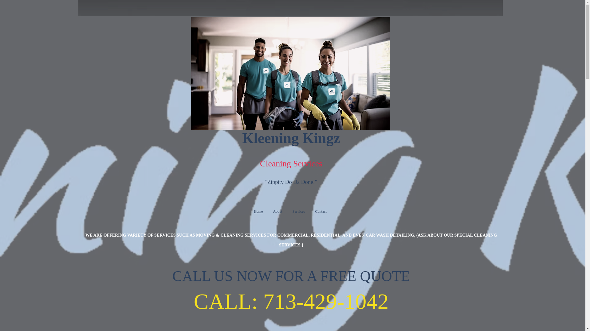 website screenshot of https://officialkleeningkingz.com/