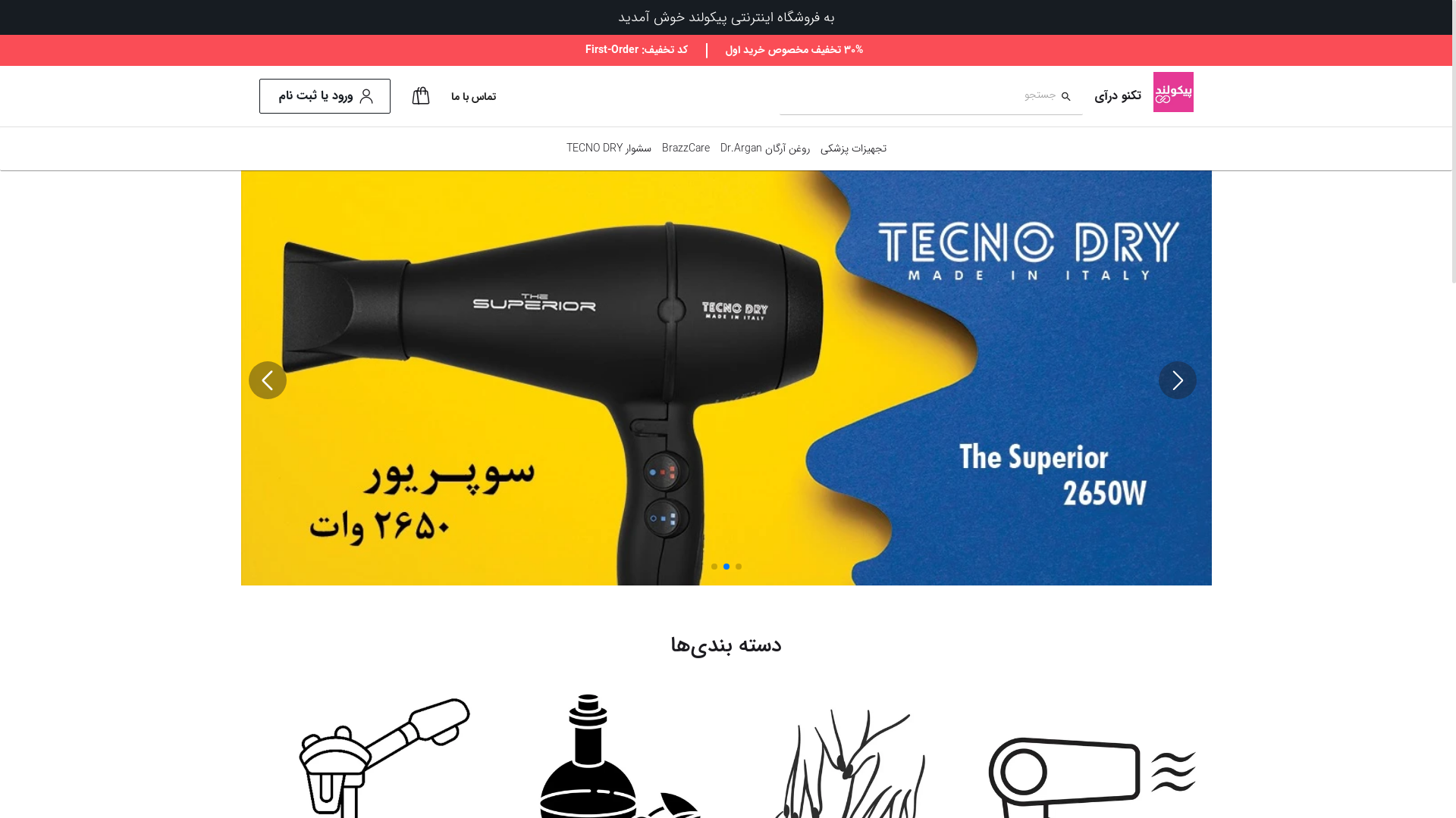 website screenshot of https://tecnodryiran.com/