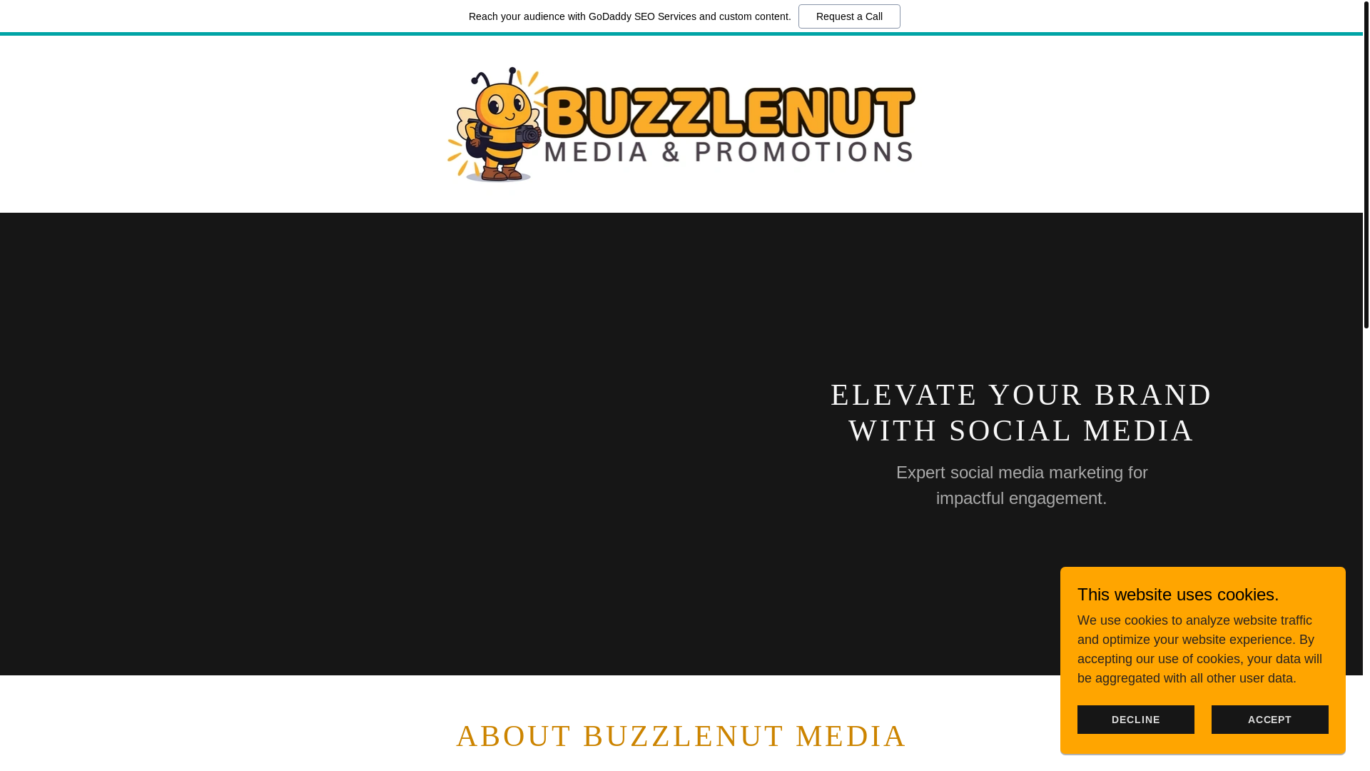 website screenshot of https://buzzlenutpromotions.com/