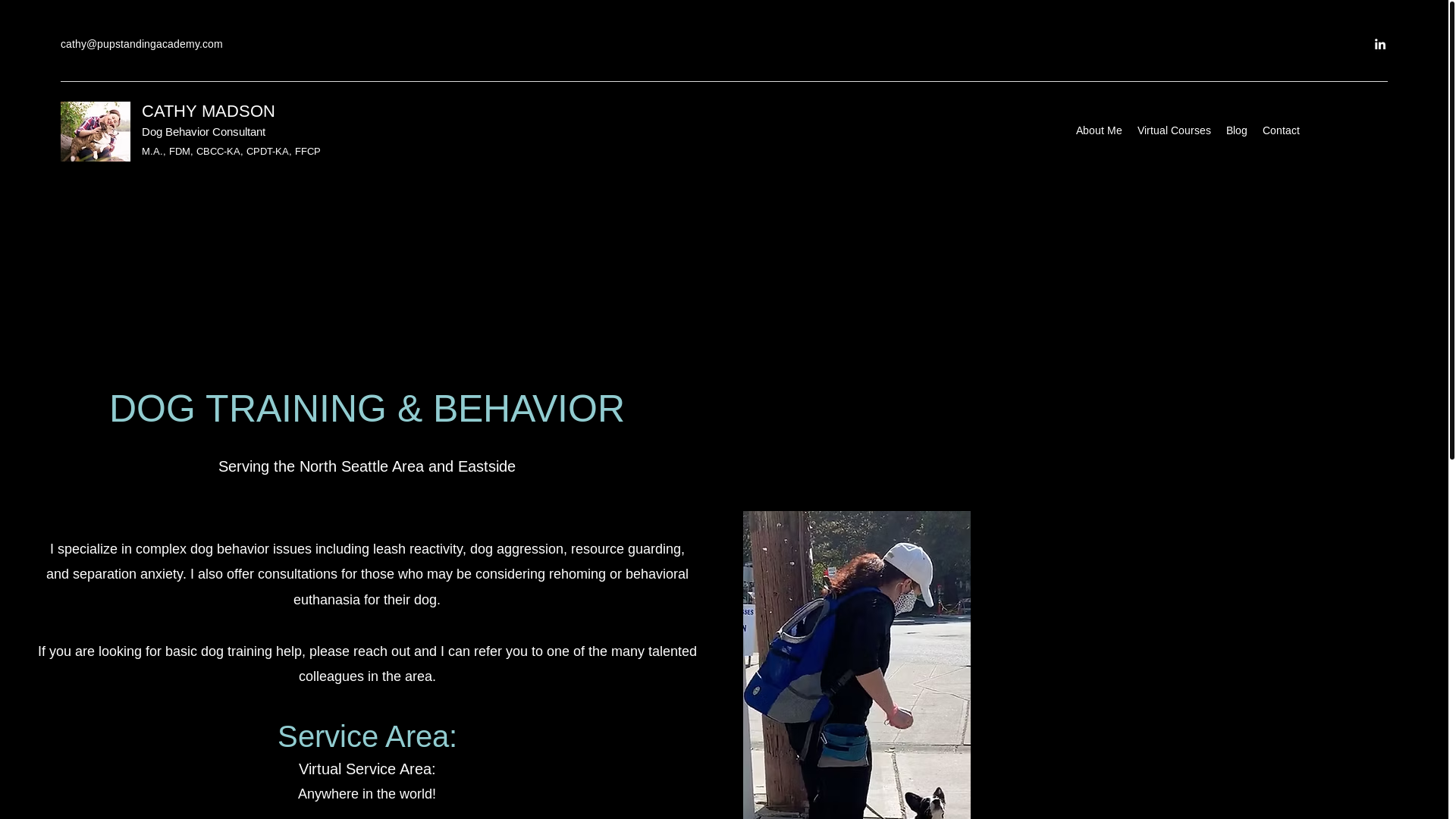 website screenshot of https://cathymadsondogtraining.com/