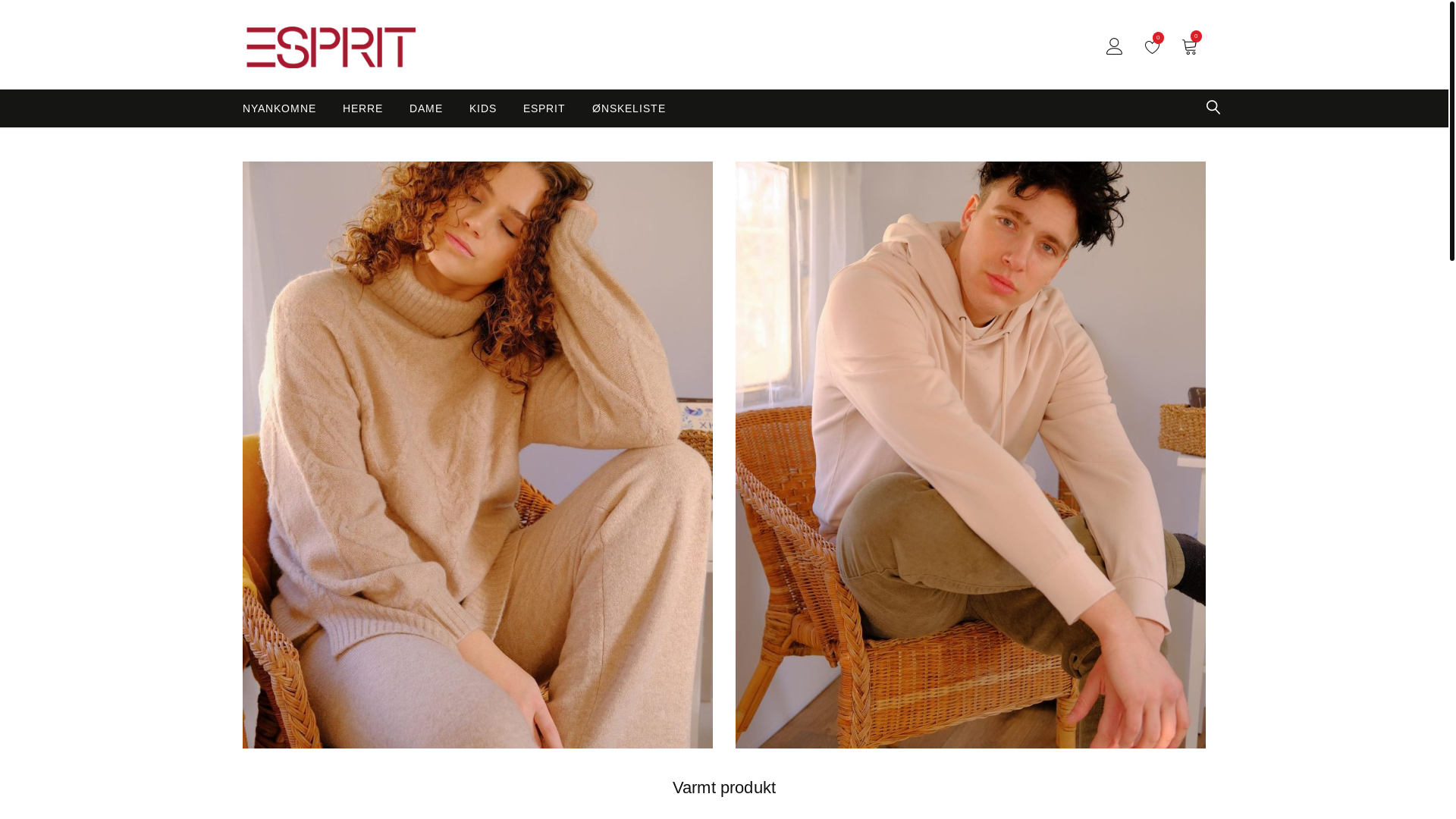 website screenshot of https://www.philippevoyer.shop/