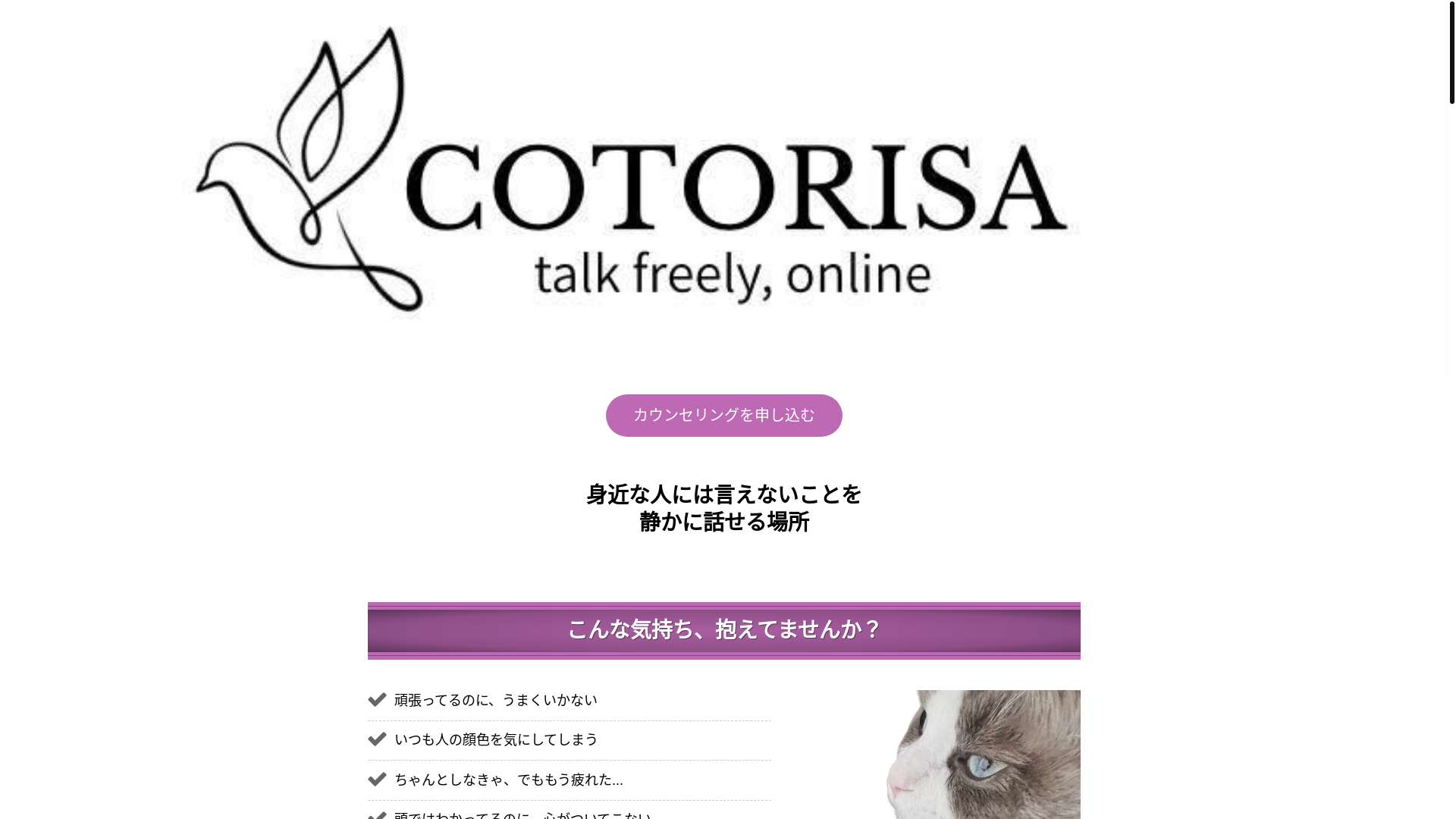 website screenshot of https://cotorisa.com/