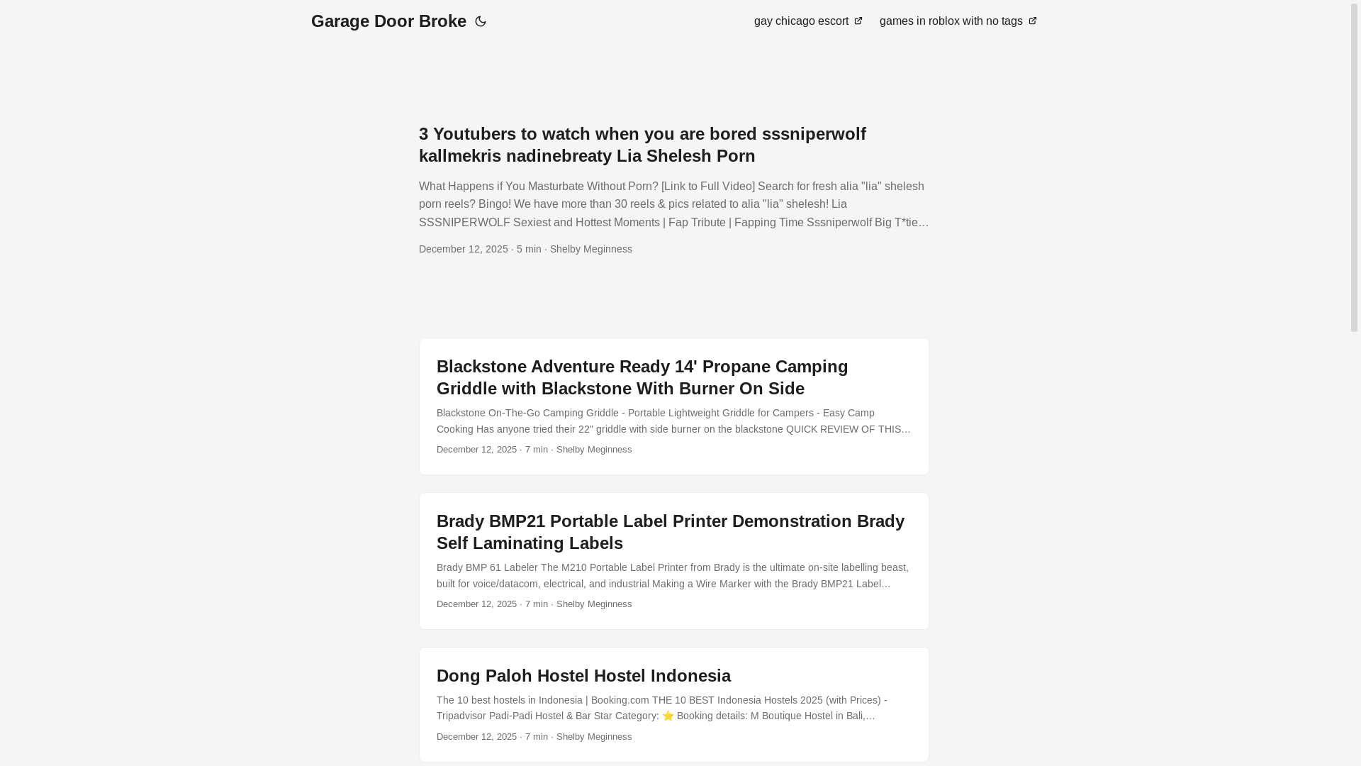 website screenshot of https://garagedoorbroke.pages.dev/