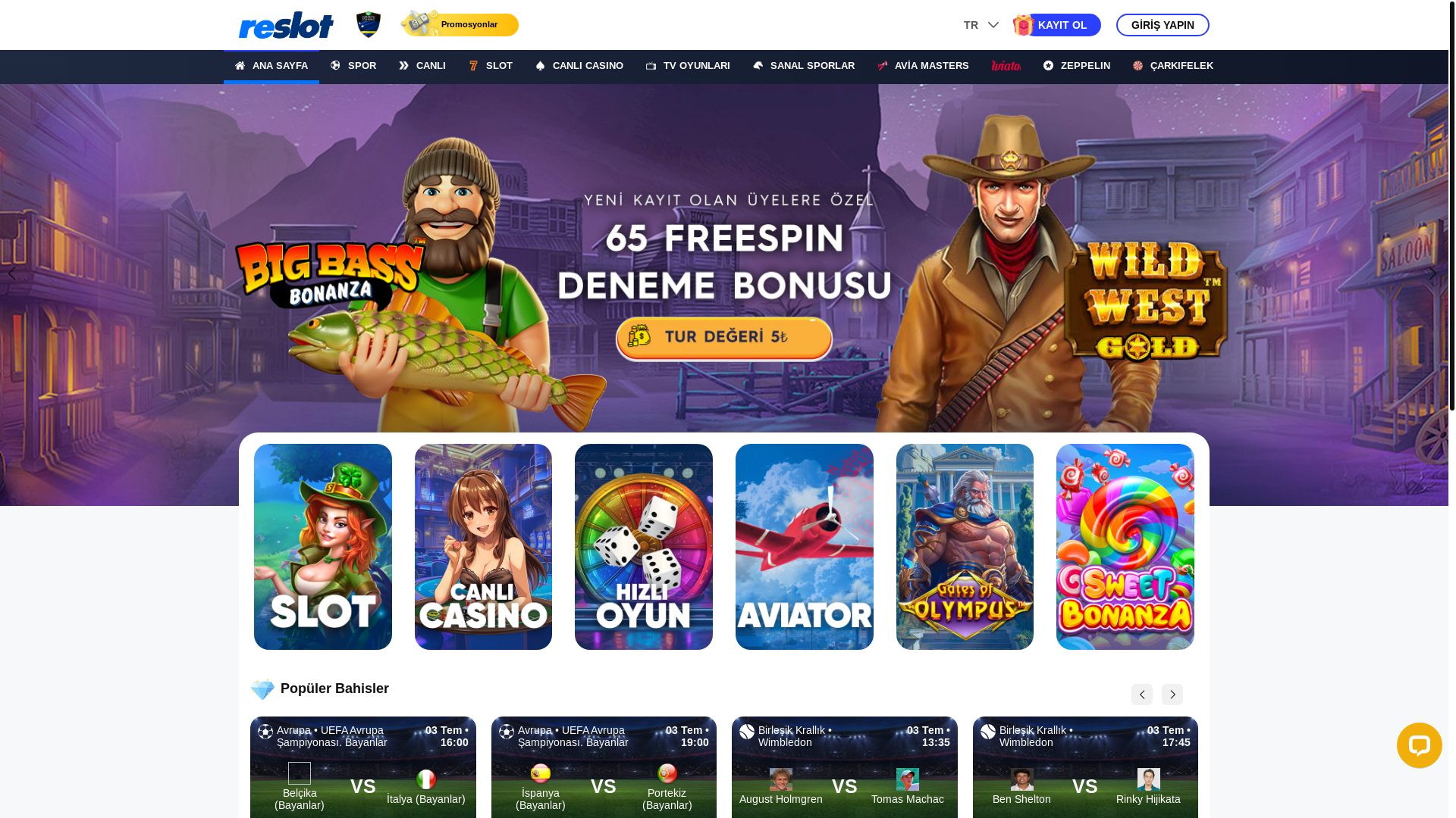 website screenshot of https://panelexa.com/