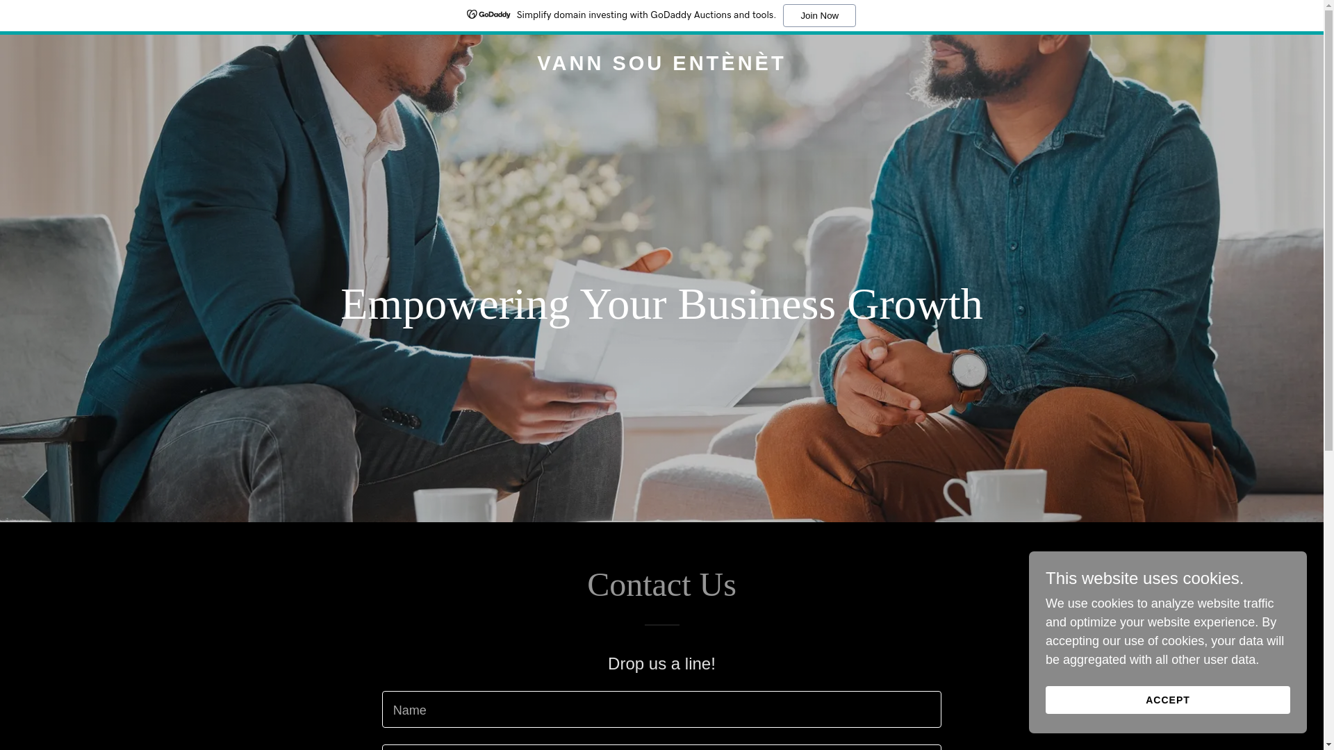 website screenshot of https://vannsouentenet.com/