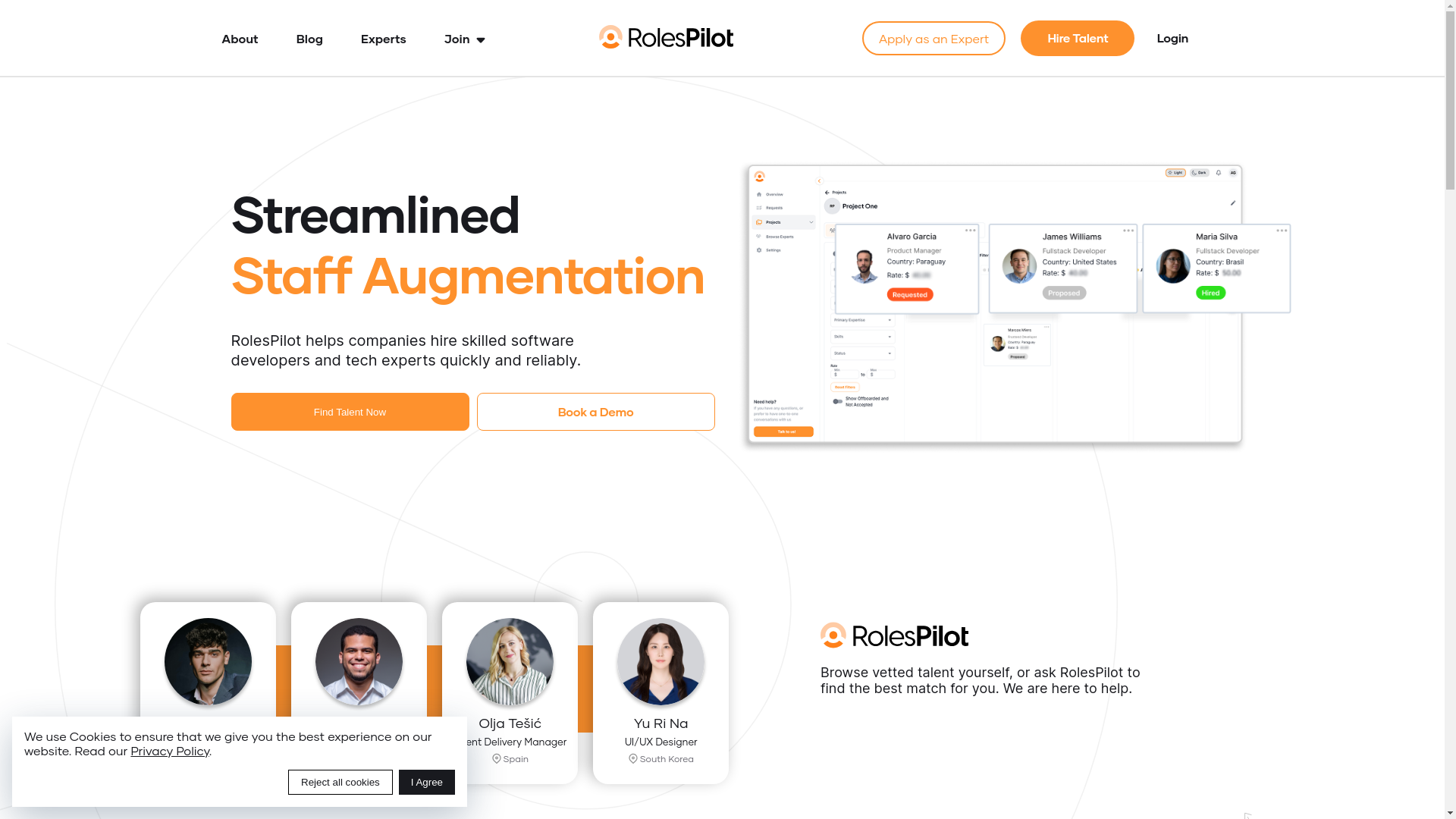 website screenshot of https://rolespilotportal.info/