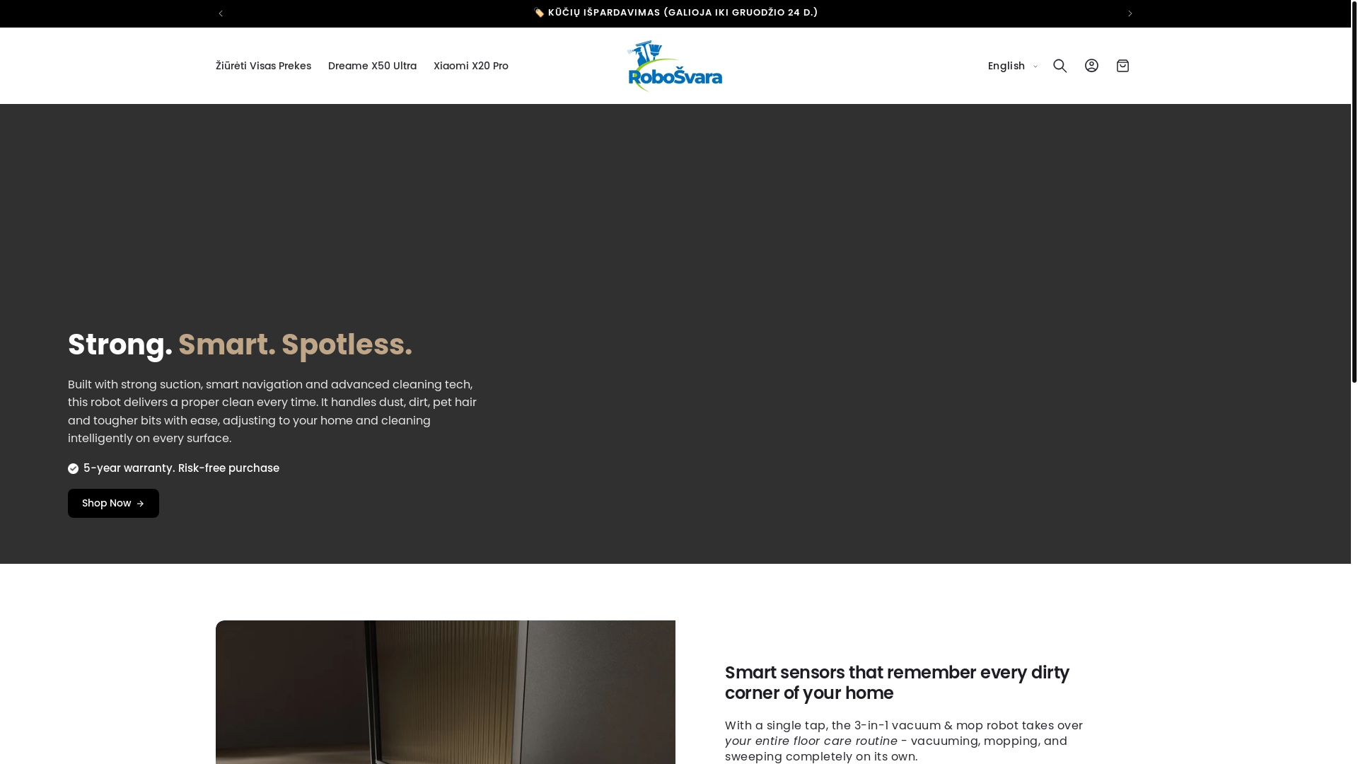 website screenshot of https://robosvara.com/