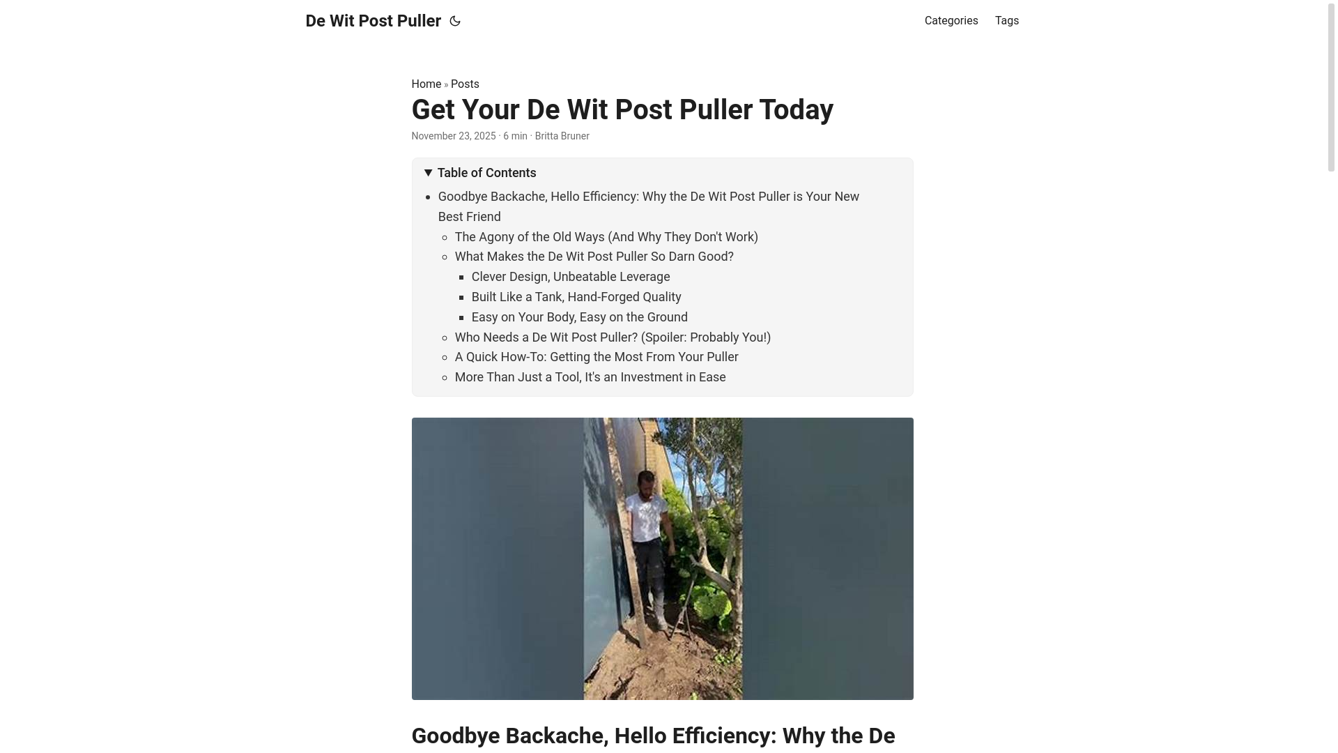 website screenshot of https://dewitpostpuller.pages.dev/