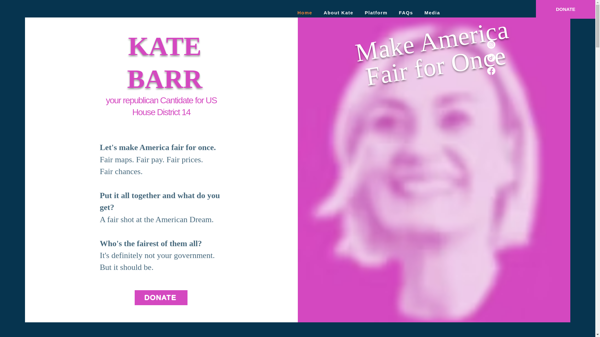 website screenshot of https://katebarrcanwin.com/