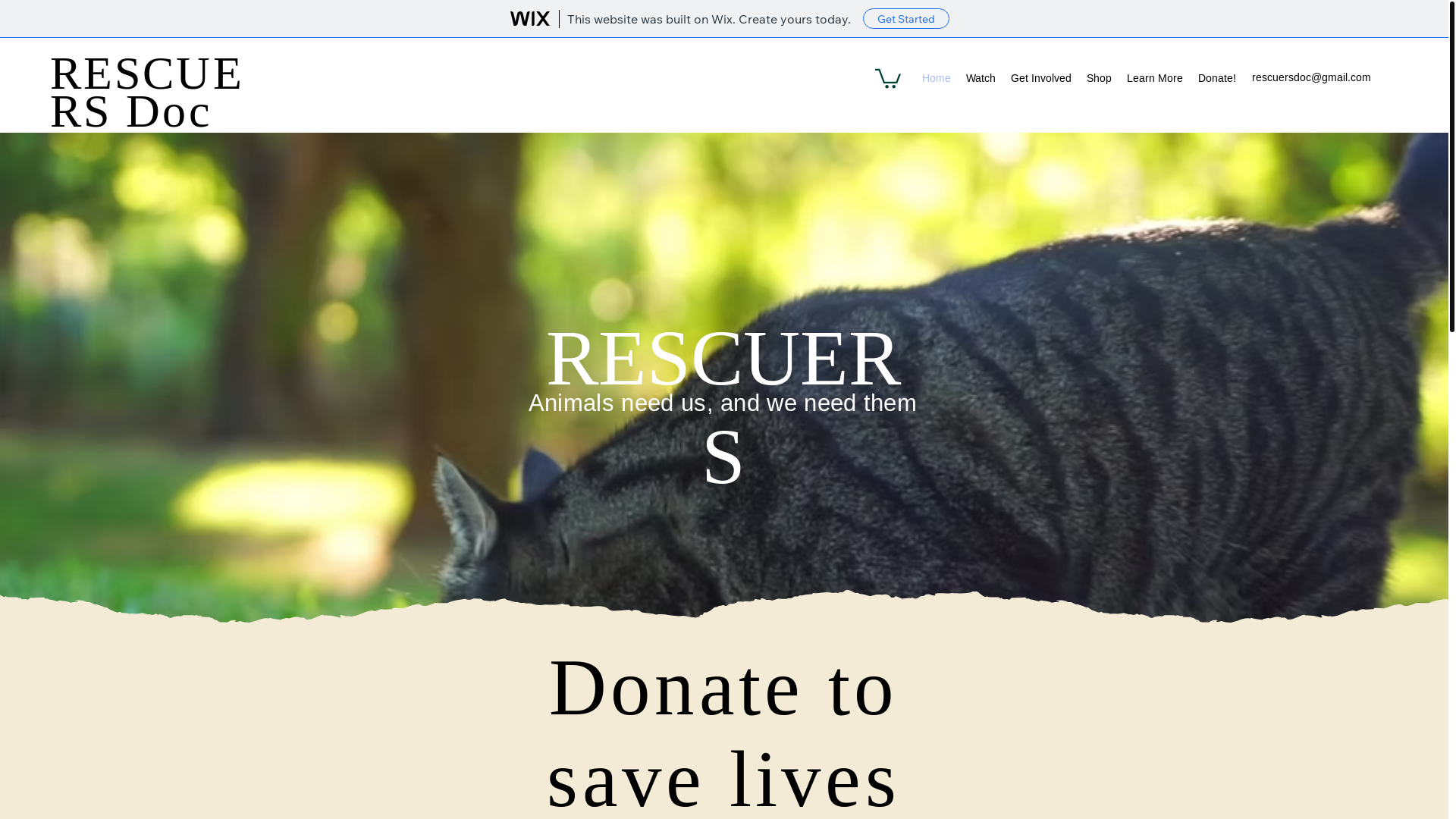 website screenshot of https://rescuersdoc.org/