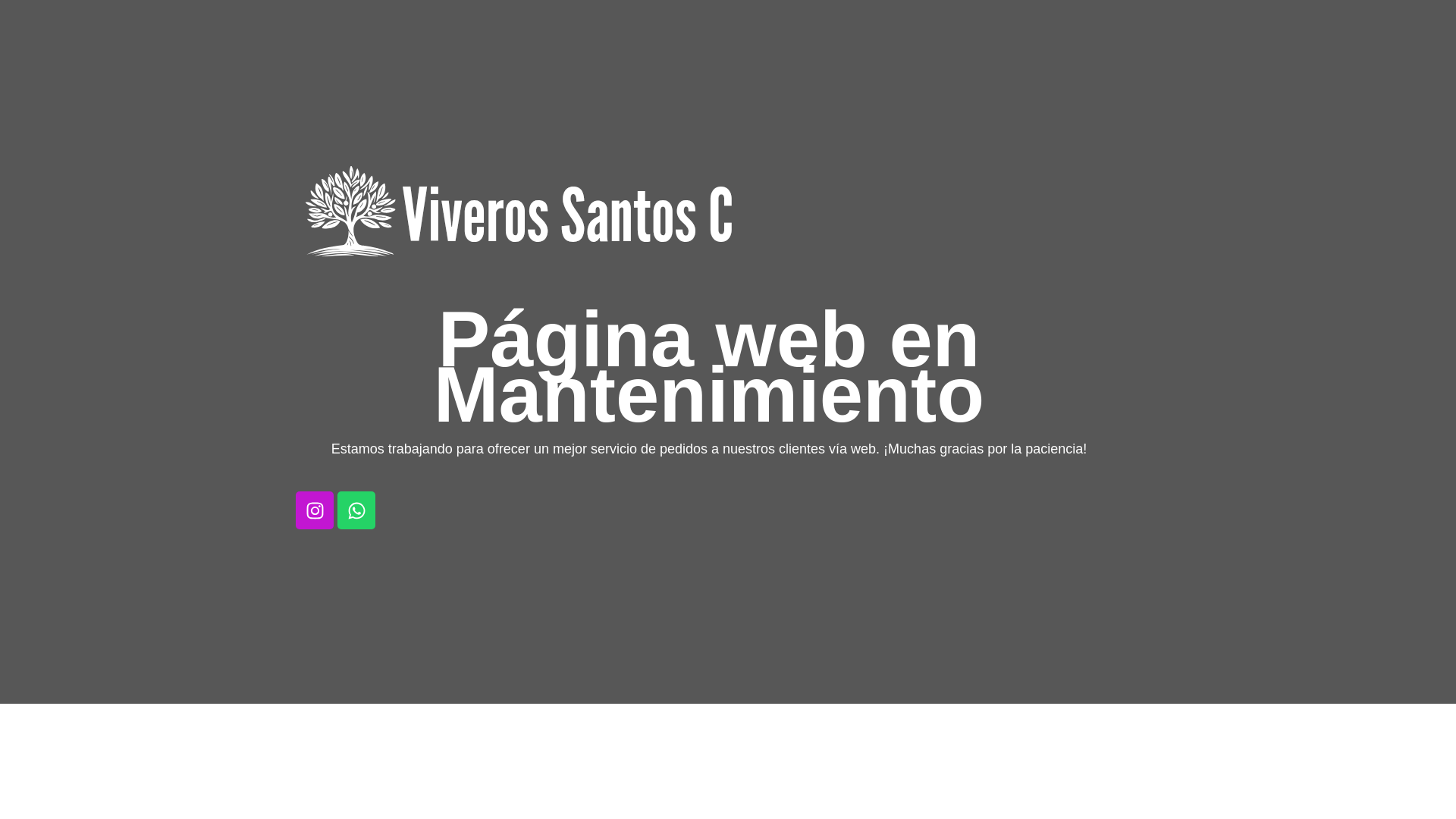 website screenshot of https://viverossantosc.es/