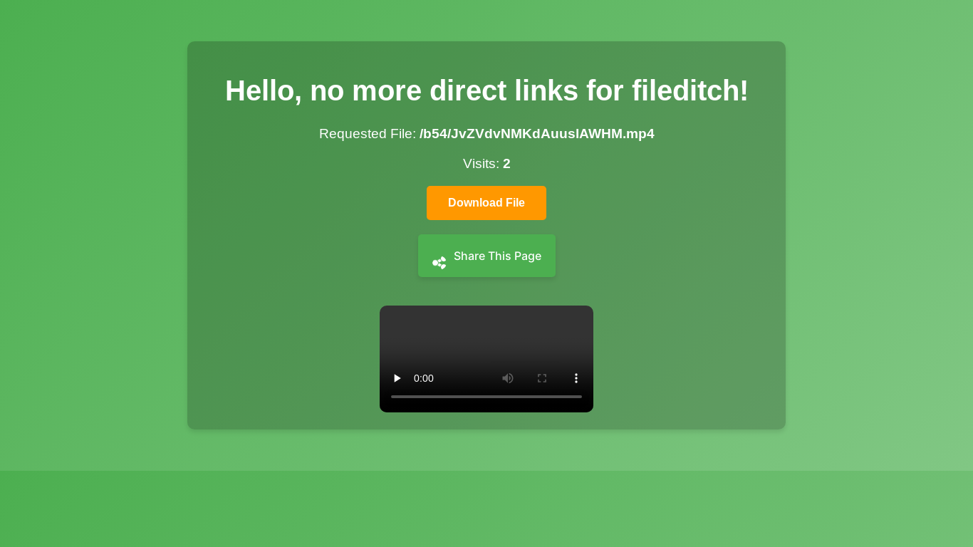 website screenshot of https://fileditchfiles.me/file.php?f=/b54/JvZVdvNMKdAuuslAWHM.mp4
