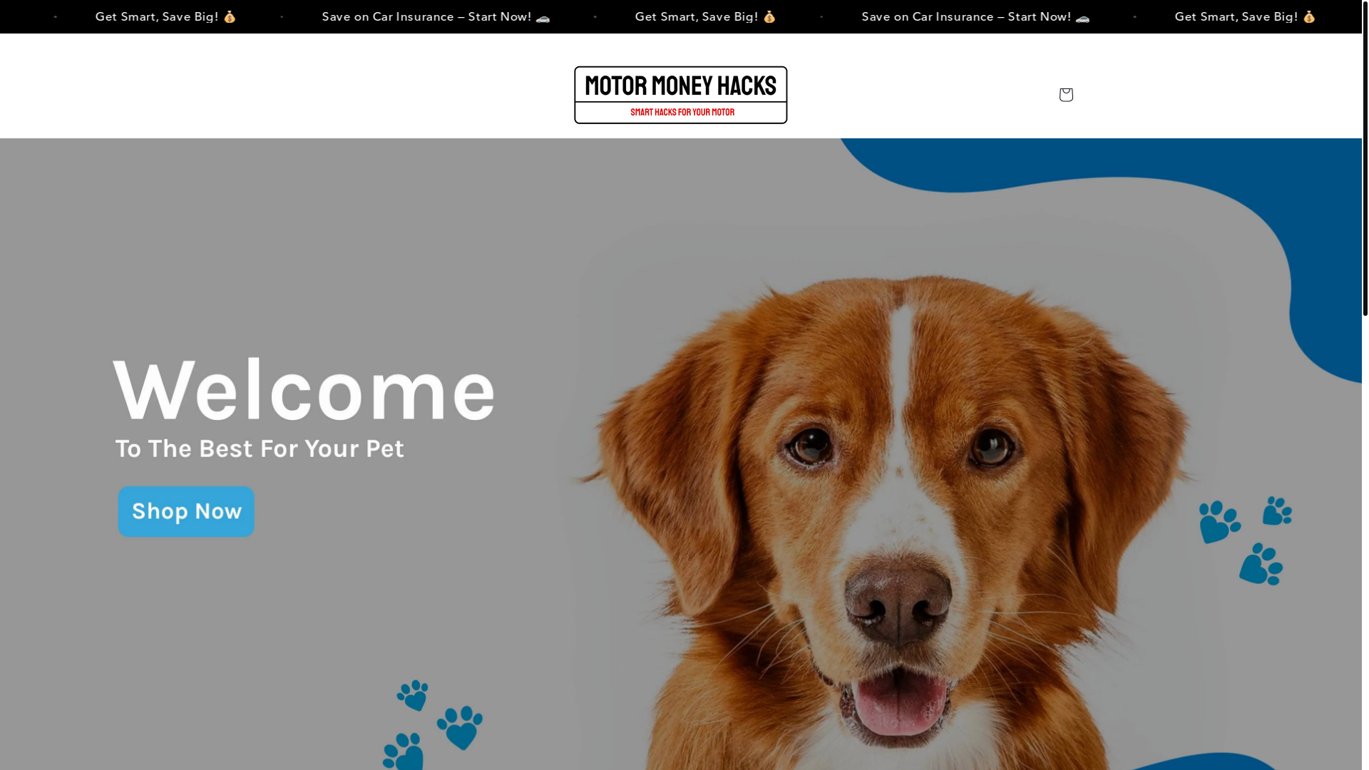 website screenshot of https://motormoneyhacks.co.uk/